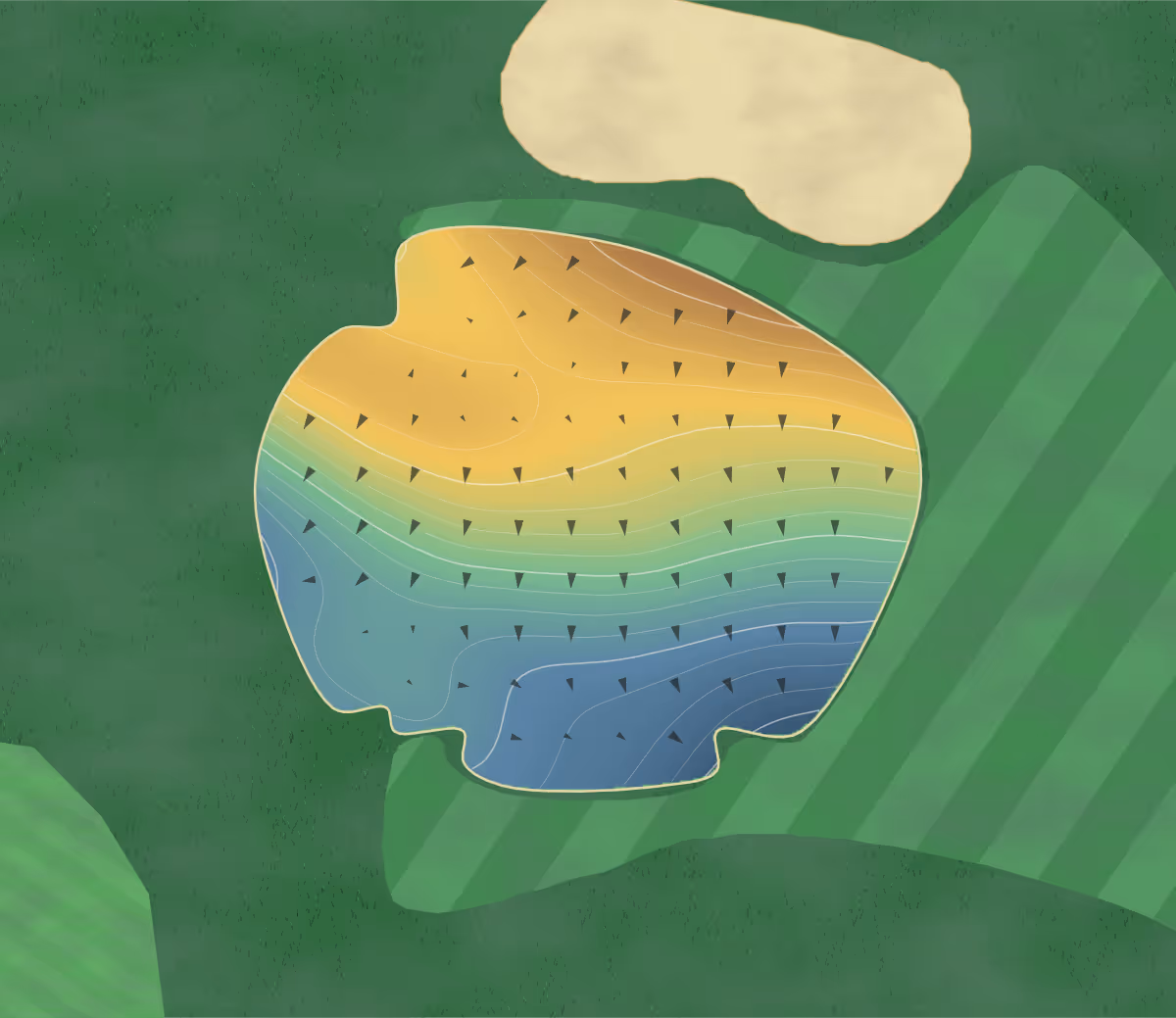 Green contour map of Biltmore Forest in Biltmore, North Carolina: 282 elevation contours at a 3-inch interval with fall-line arrows, traced from 1-meter lidar