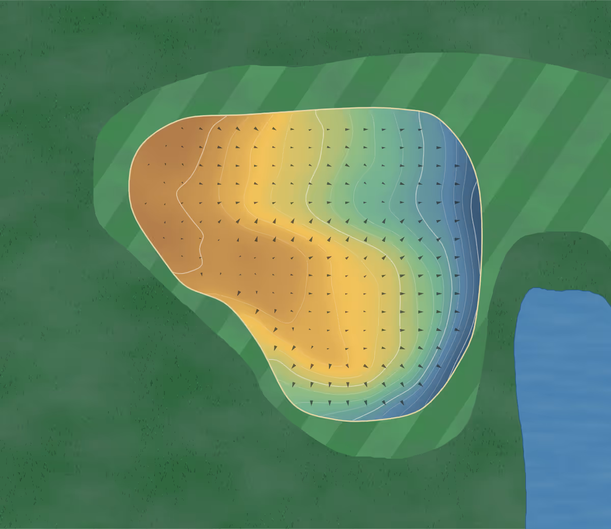 Green contour map of Birch Hills in Prince Albert, Canada — 84 elevation contours at a 8-centimeter interval with fall-line arrows, traced from 1-meter lidar