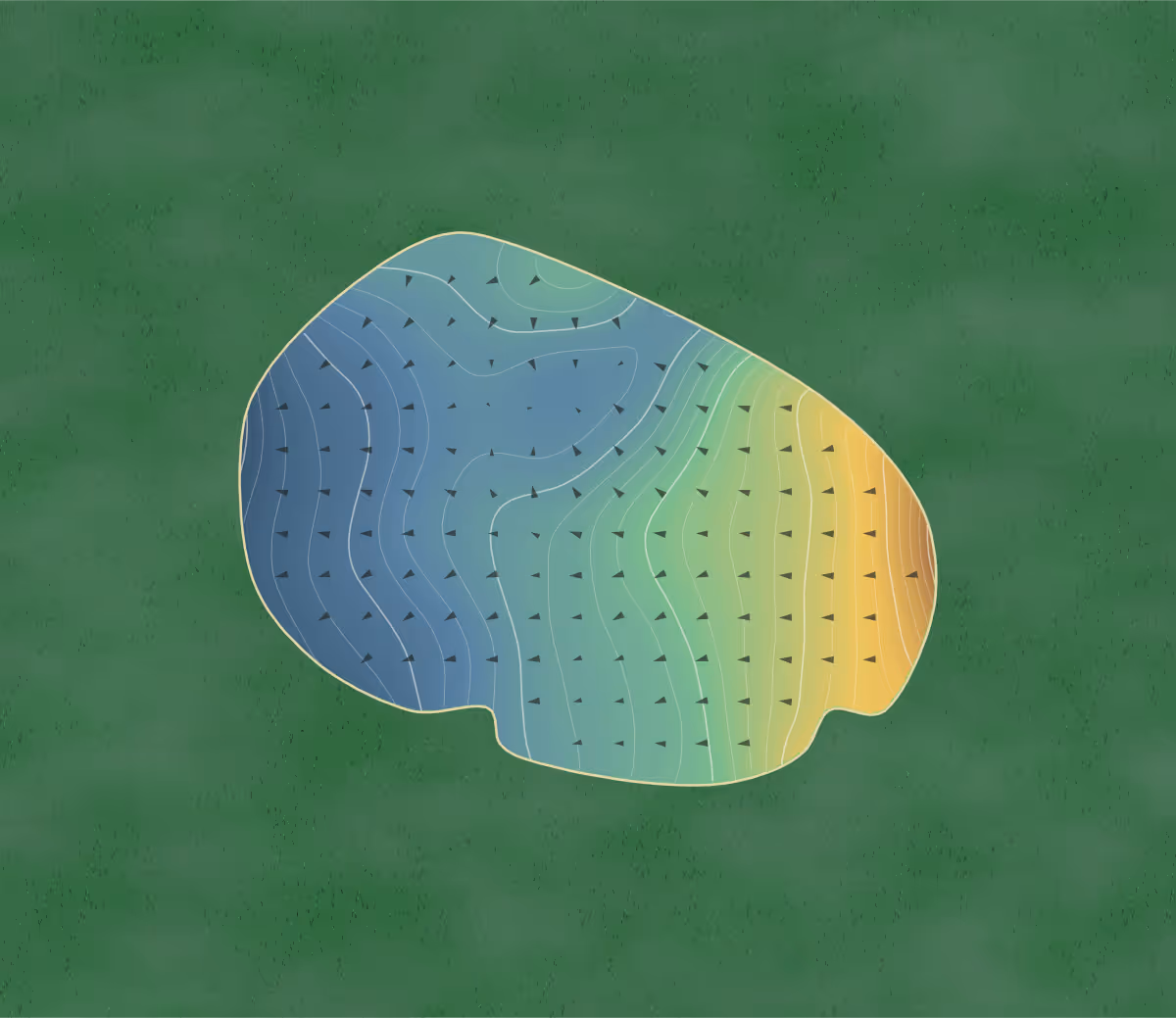 Green contour map of Birch House in Haywards Heath, United Kingdom: 265 elevation contours at a 8-centimeter interval with fall-line arrows, traced from 1-meter lidar