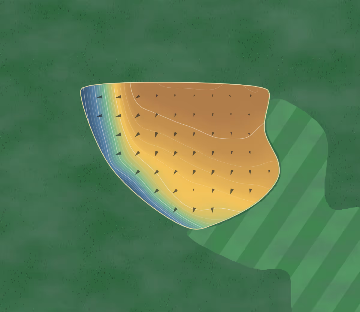 Green contour map of Birchwood in Nashville, North Carolina: 167 elevation contours at a 3-inch interval with fall-line arrows, traced from 1-meter lidar