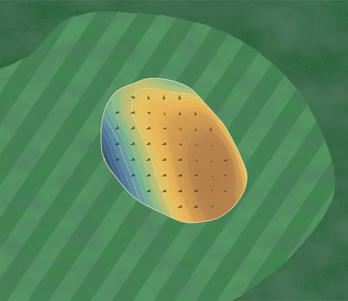 Green contour map of Birchwood Golf in Pelican Rapids, Minnesota — 85 elevation contours at a 3-inch interval with fall-line arrows, traced from 1-meter lidar