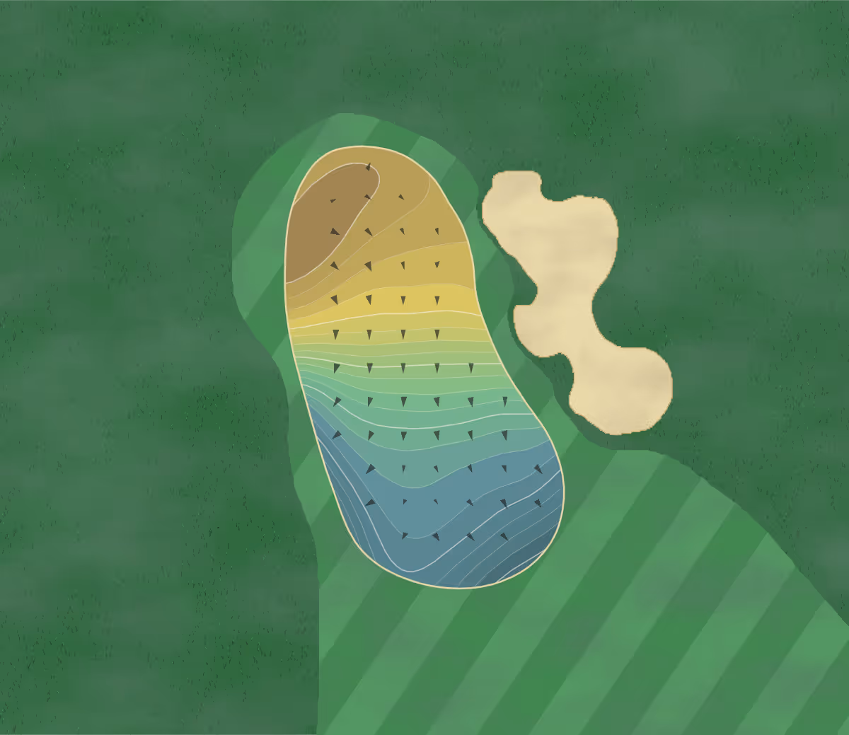 Green contour map of Birnam Wood in Santa Barbara, California — 253 elevation contours at a 3-inch interval with fall-line arrows, traced from 1-meter lidar