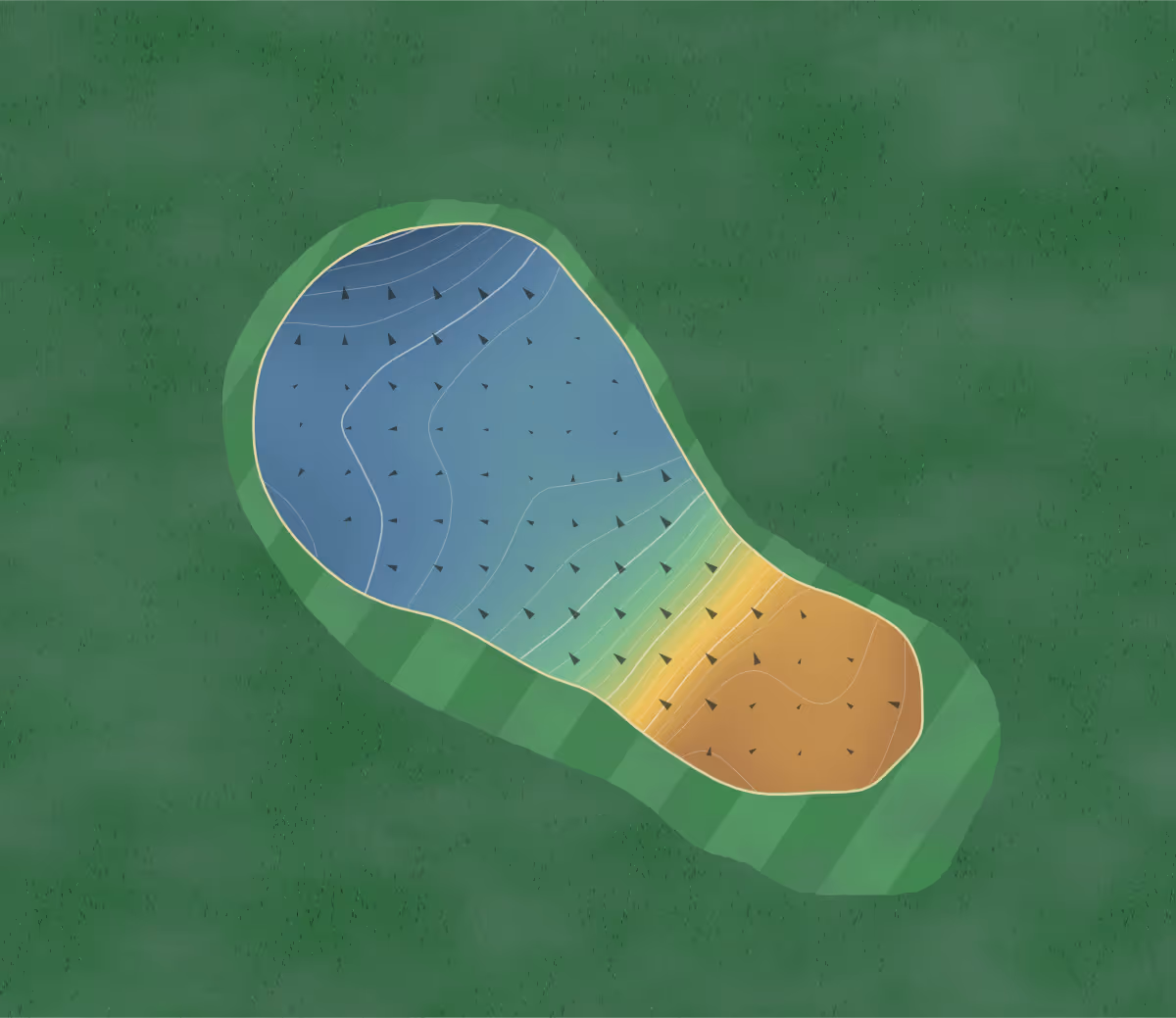 Green contour map of Black Bear Ridge in Belleville, Canada — 96 elevation contours at a 8-centimeter interval with fall-line arrows, traced from 1-meter lidar