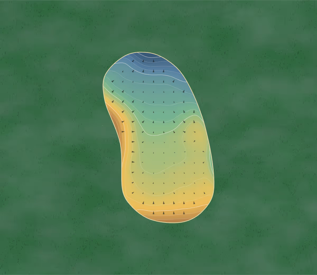 Green contour map of Black Bull in Bozeman, Montana: 196 elevation contours at a 3-inch interval with fall-line arrows, traced from 1-meter lidar