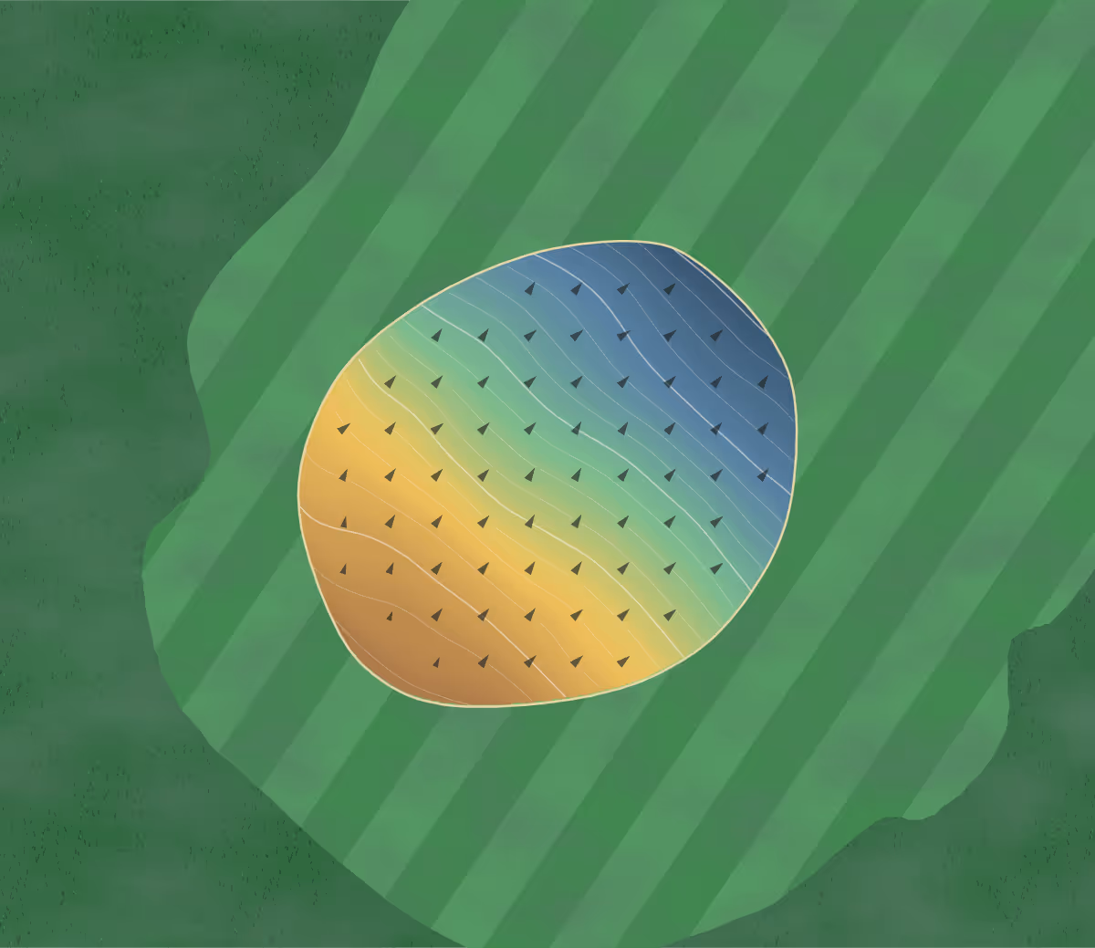 Green contour map of Black River in Matheson, Canada: 94 elevation contours at a 8-centimeter interval with fall-line arrows, traced from 1-meter lidar