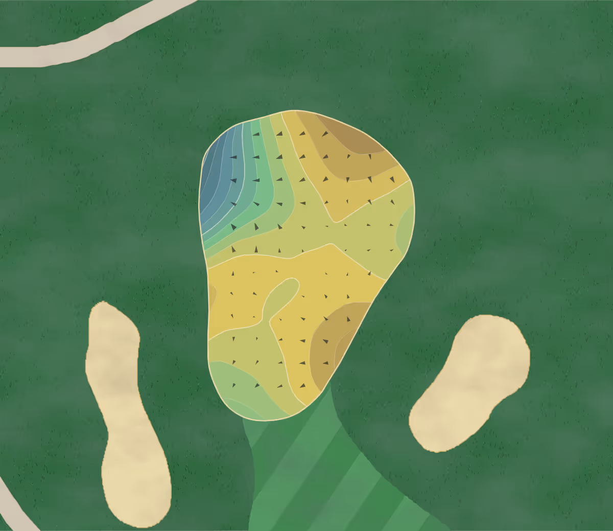 Green contour map of Black Swan in Georgetown, Massachusetts — 150 elevation contours at a 3-inch interval with fall-line arrows, traced from 1-meter lidar
