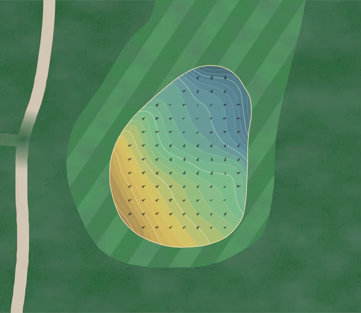 Green contour map of Blackheath in Rochester Hills, Michigan — 239 elevation contours at a 3-inch interval with fall-line arrows, traced from 1-meter lidar