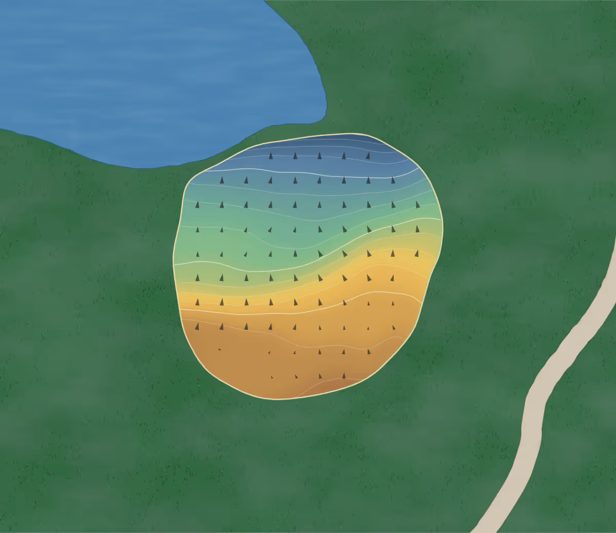 Green contour map of Blacknest in Alton, England: 124 elevation contours at a 8-centimeter interval with fall-line arrows, traced from 1-meter lidar