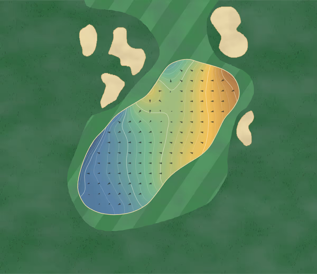 Green contour map of Blackwell in Blackwell, England — 235 elevation contours at a 8-centimeter interval with fall-line arrows, traced from 1-meter lidar