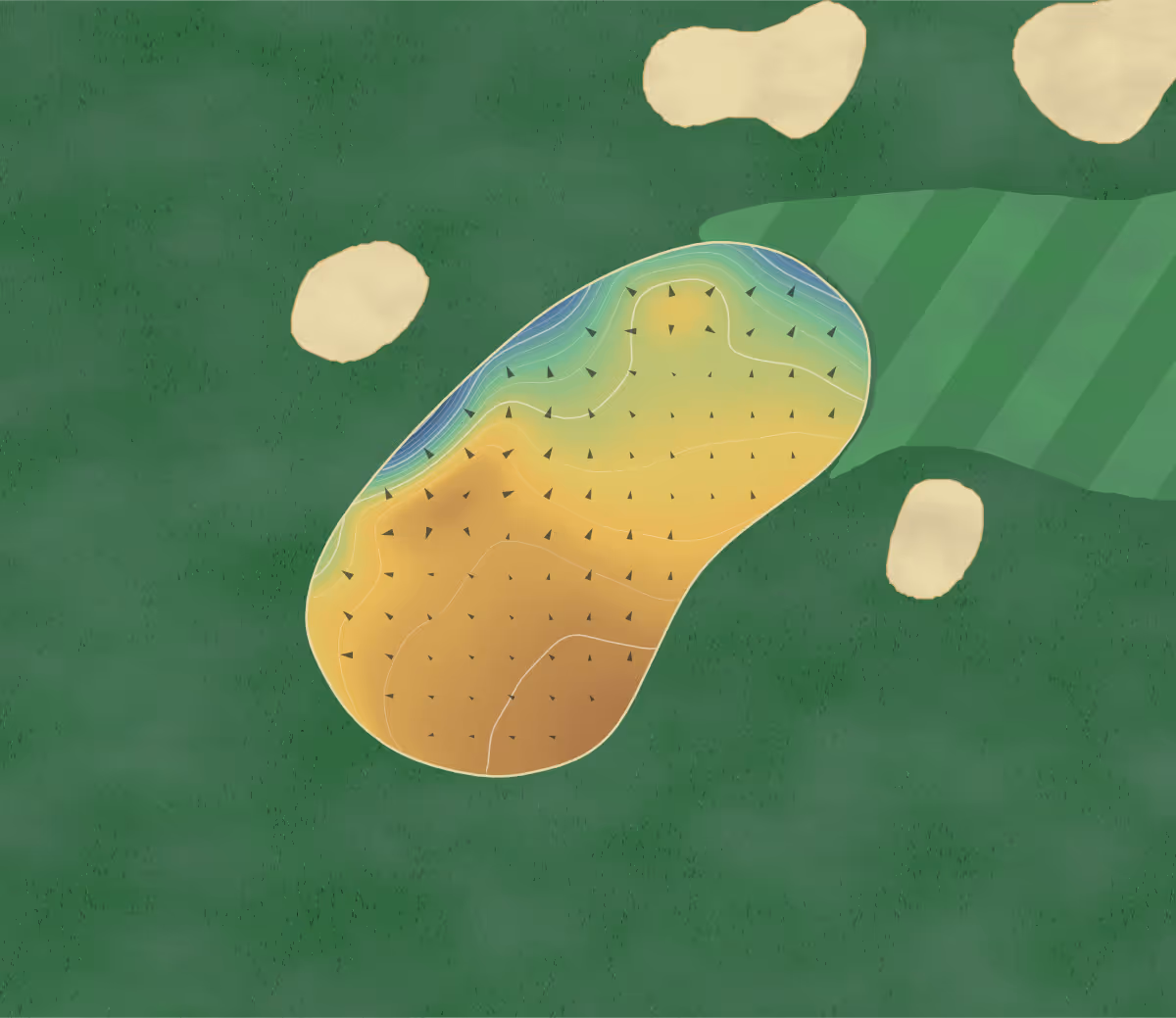 Green contour map of Blackwell Grange in Darlington, England — 139 elevation contours at a 8-centimeter interval with fall-line arrows, traced from 1-meter lidar