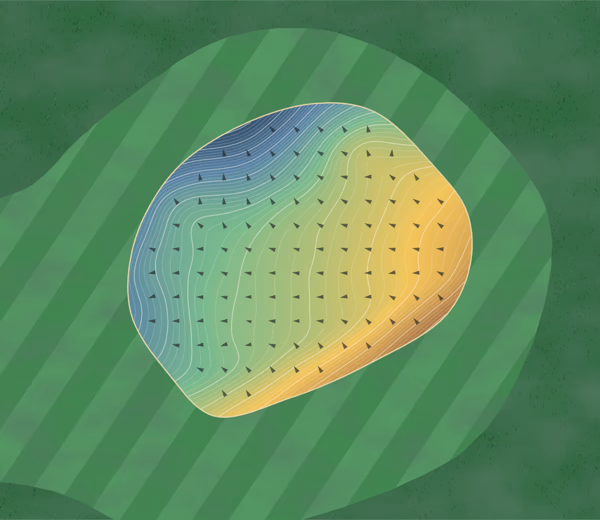 Green contour map of Blayney in Blayney, Australia — 182 elevation contours at a 8-centimeter interval with fall-line arrows, traced from 1-meter lidar