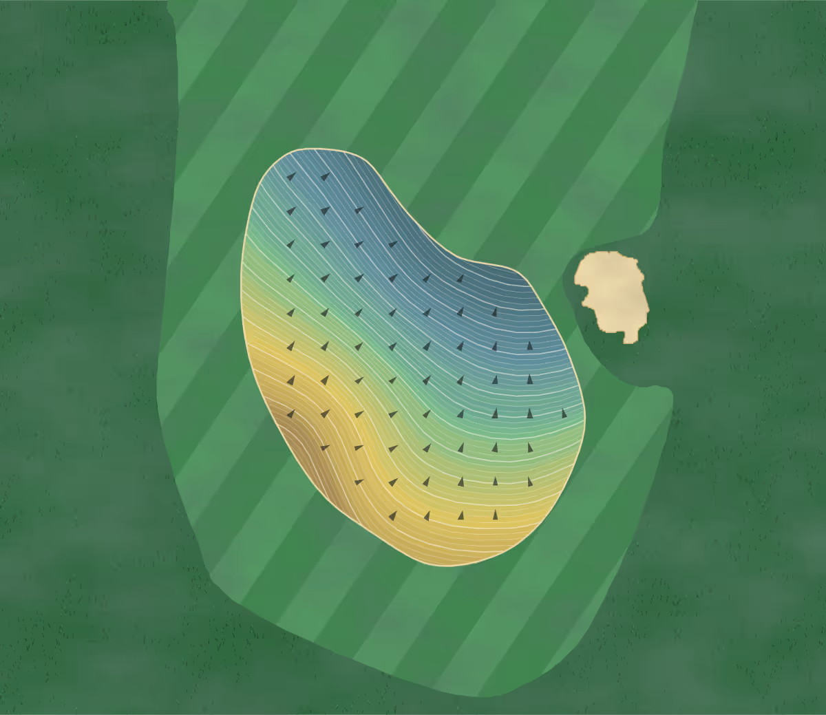 Green contour map of Blessings in Fayetteville, Arkansas — 372 elevation contours at a 3-inch interval with fall-line arrows, traced from 1-meter lidar