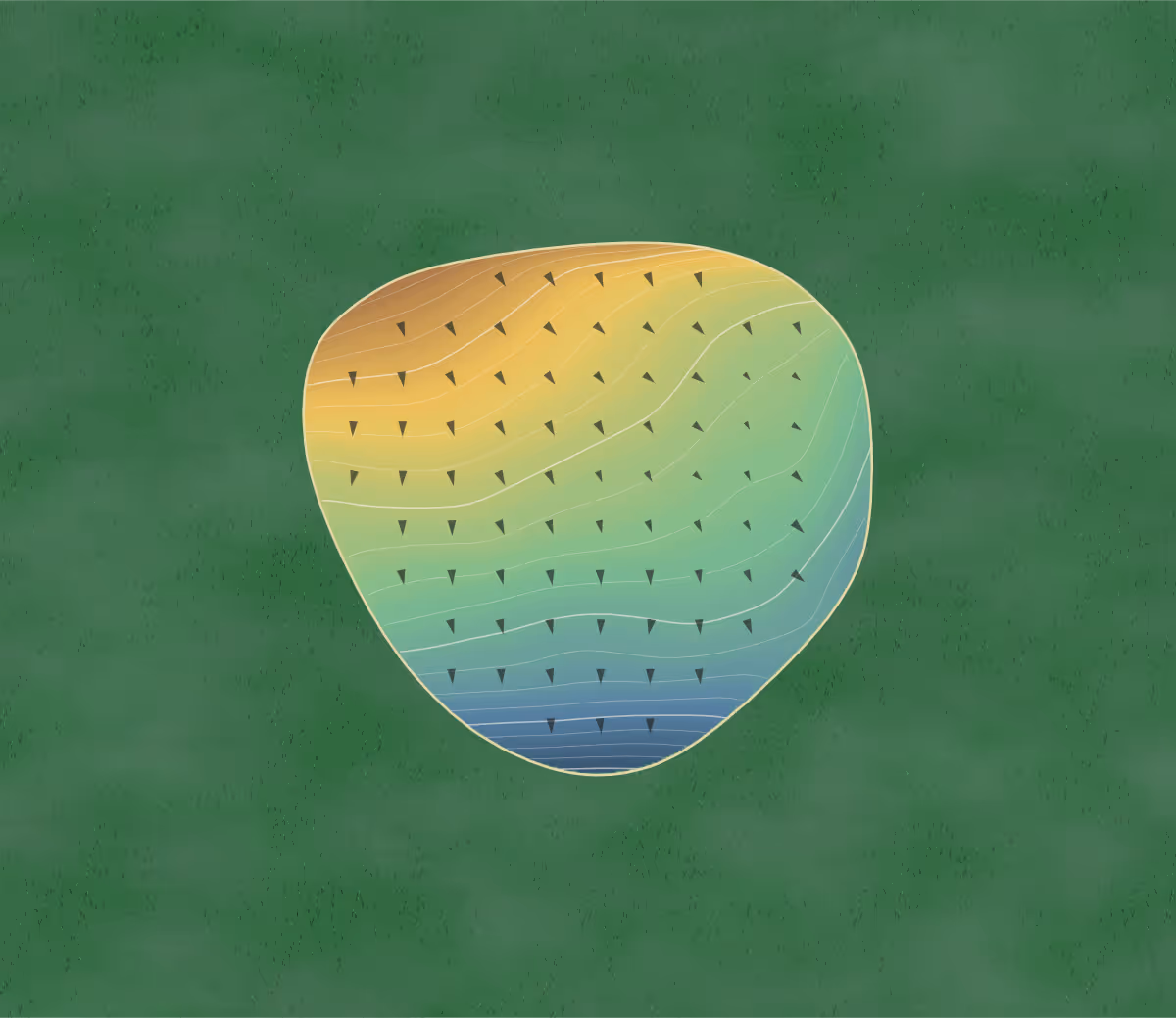Green contour map of Bloomer Memorial in Bloomer, Wisconsin: 181 elevation contours at a 3-inch interval with fall-line arrows, traced from 1-meter lidar