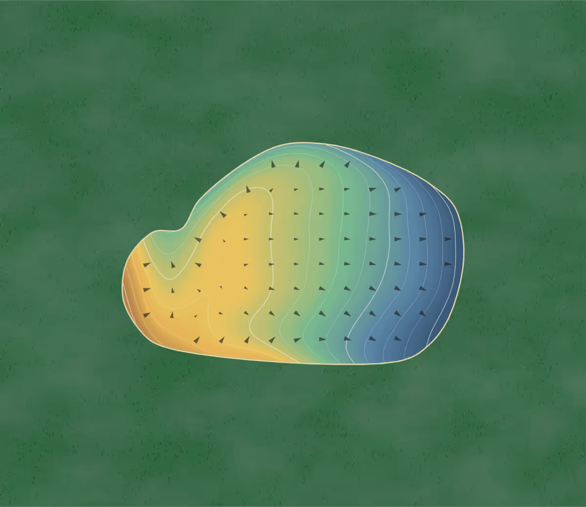 Green contour map of Blooming Prairie in Blooming Prairie, Minnesota: 79 elevation contours at a 3-inch interval with fall-line arrows, traced from 1-meter lidar