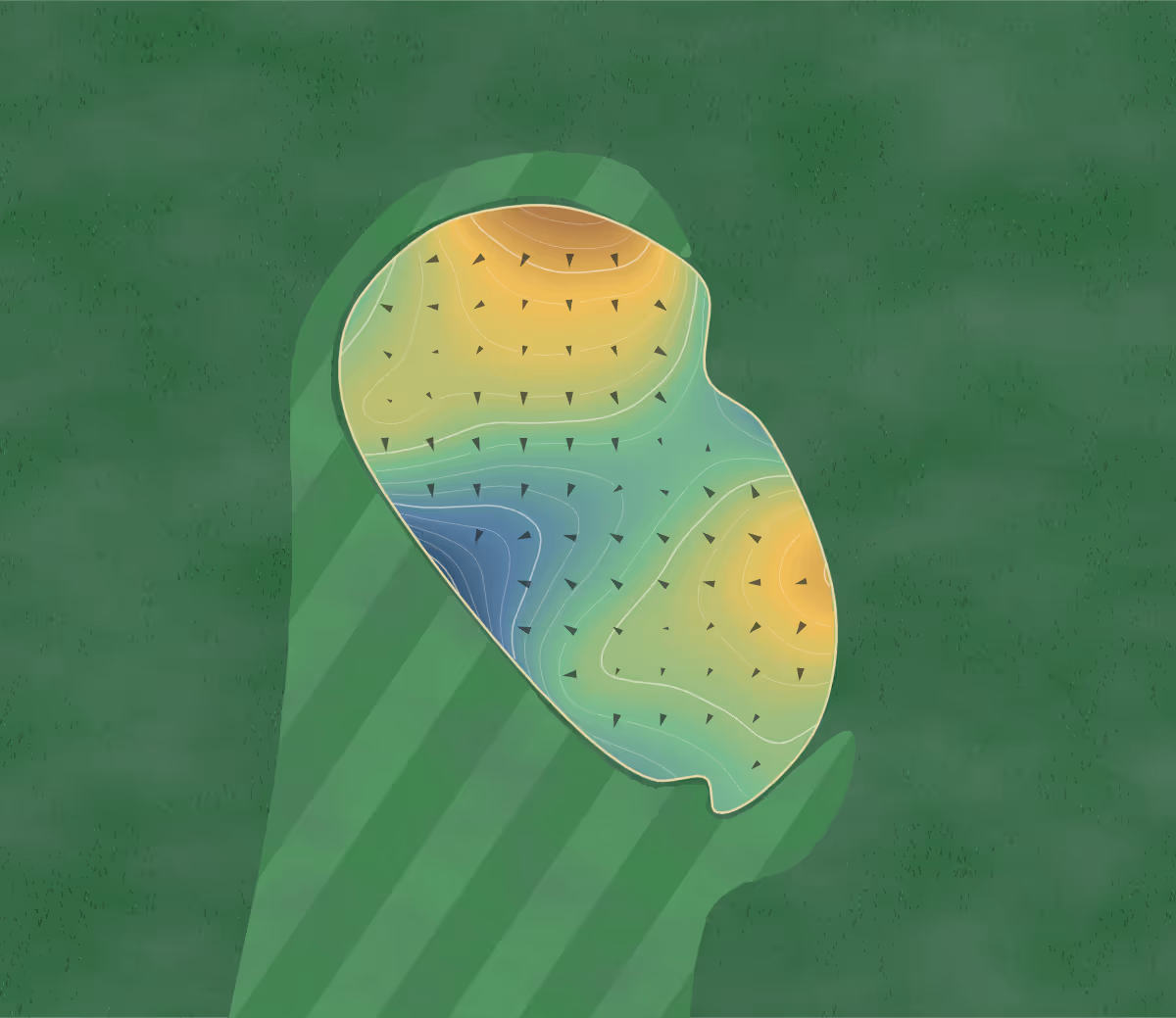 Green contour map of Bloomington in St. George, Utah: 205 elevation contours at a 3-inch interval with fall-line arrows, traced from 1-meter lidar