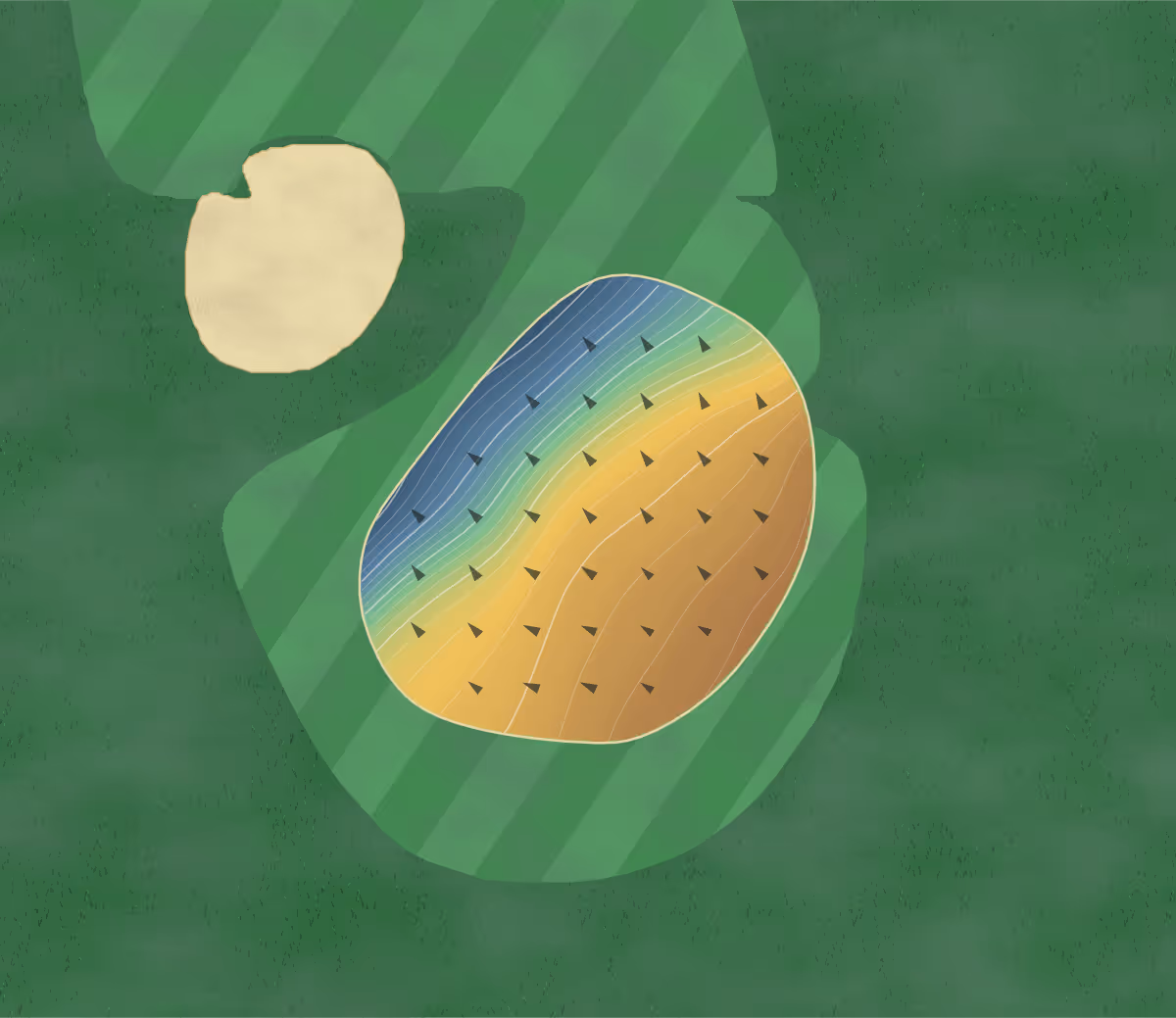 Green contour map of Blue Heron in Lanark, Canada: 100 elevation contours at a 8-centimeter interval with fall-line arrows, traced from 1-meter lidar