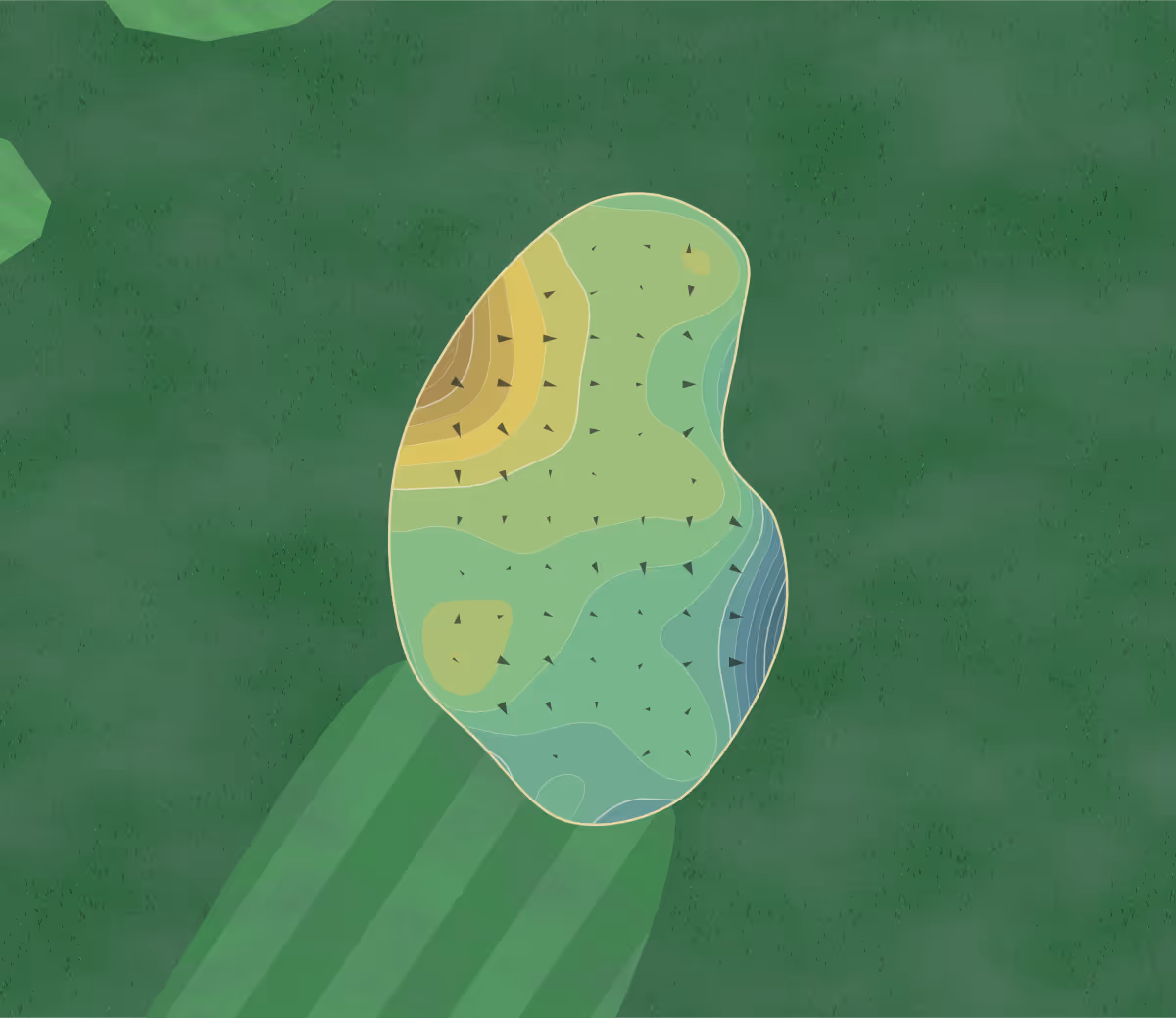 Green contour map of Blue Sky in Jacksonville, Florida — 40 elevation contours at a 3-inch interval with fall-line arrows, traced from 1-meter lidar