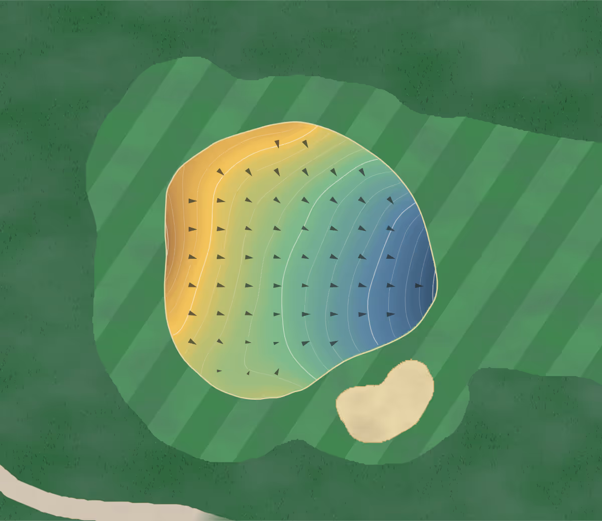 Green contour map of Bluegrass Yacht in Hendersonville, Tennessee: 144 elevation contours at a 3-inch interval with fall-line arrows, traced from 1-meter lidar