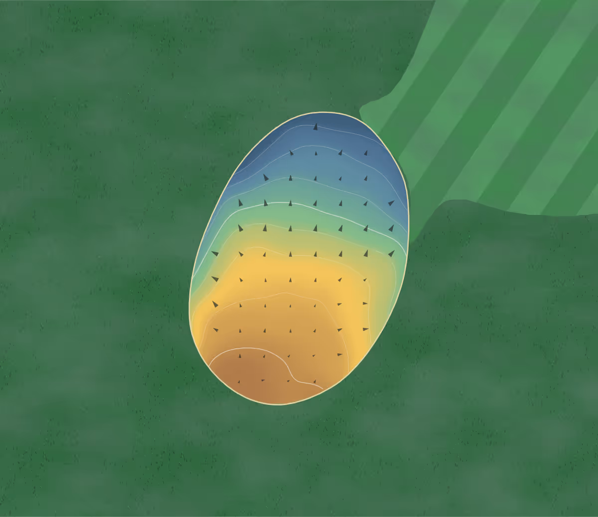 Green contour map of Bolivar Municpal in Bolivar, Missouri: 52 elevation contours at a 3-inch interval with fall-line arrows, traced from 1-meter lidar