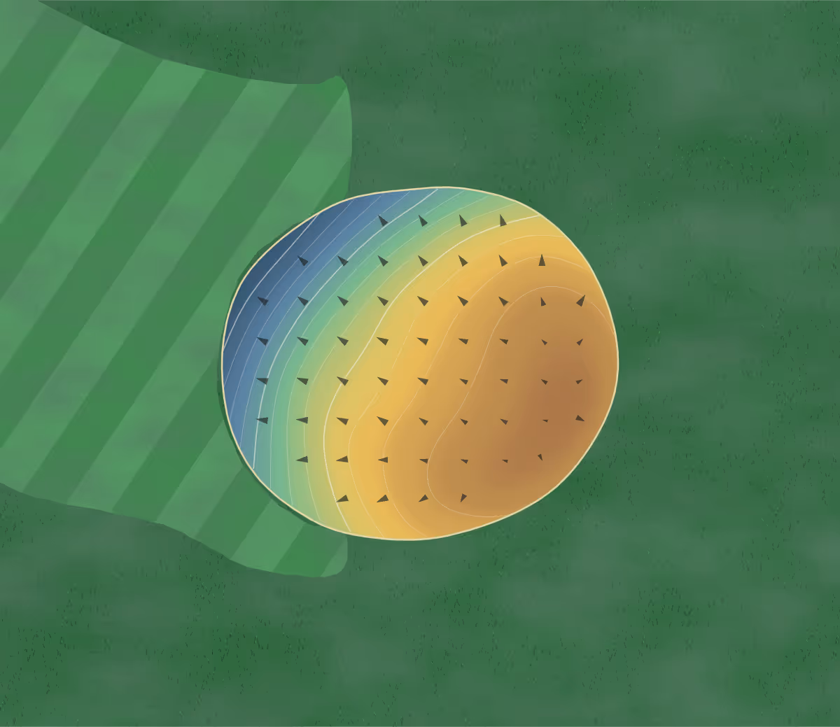 Green contour map of Bon Homme CC in Tyndall, South Dakota: 72 elevation contours at a 3-inch interval with fall-line arrows, traced from 1-meter lidar