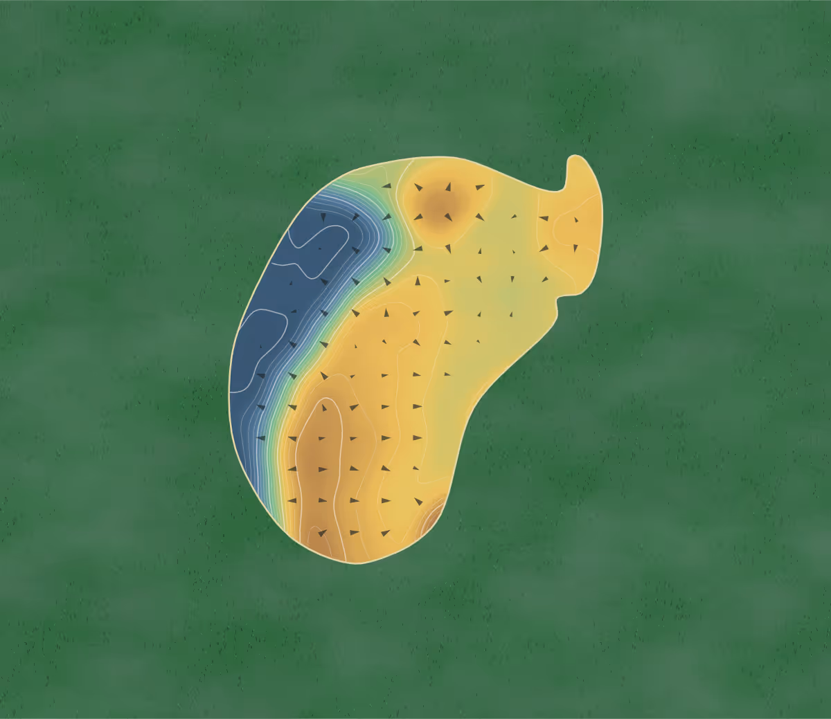 Green contour map of Bonaire in Huntsville, Canada: 185 elevation contours at a 8-centimeter interval with fall-line arrows, traced from 1-meter lidar