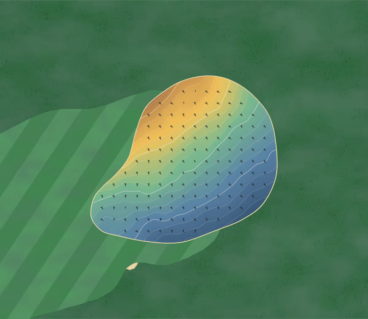 Green contour map of Bonar Bridge in Bonar Bridge, Scotland: 28 elevation contours at a 8-centimeter interval with fall-line arrows, traced from 1-meter lidar