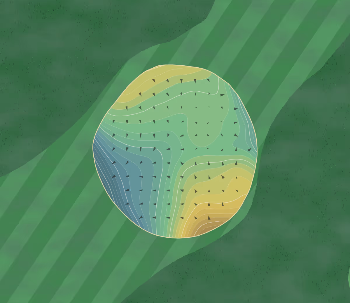 Green contour map of Boston GC in Hingham, Massachusetts — 331 elevation contours at a 3-inch interval with fall-line arrows, traced from 1-meter lidar