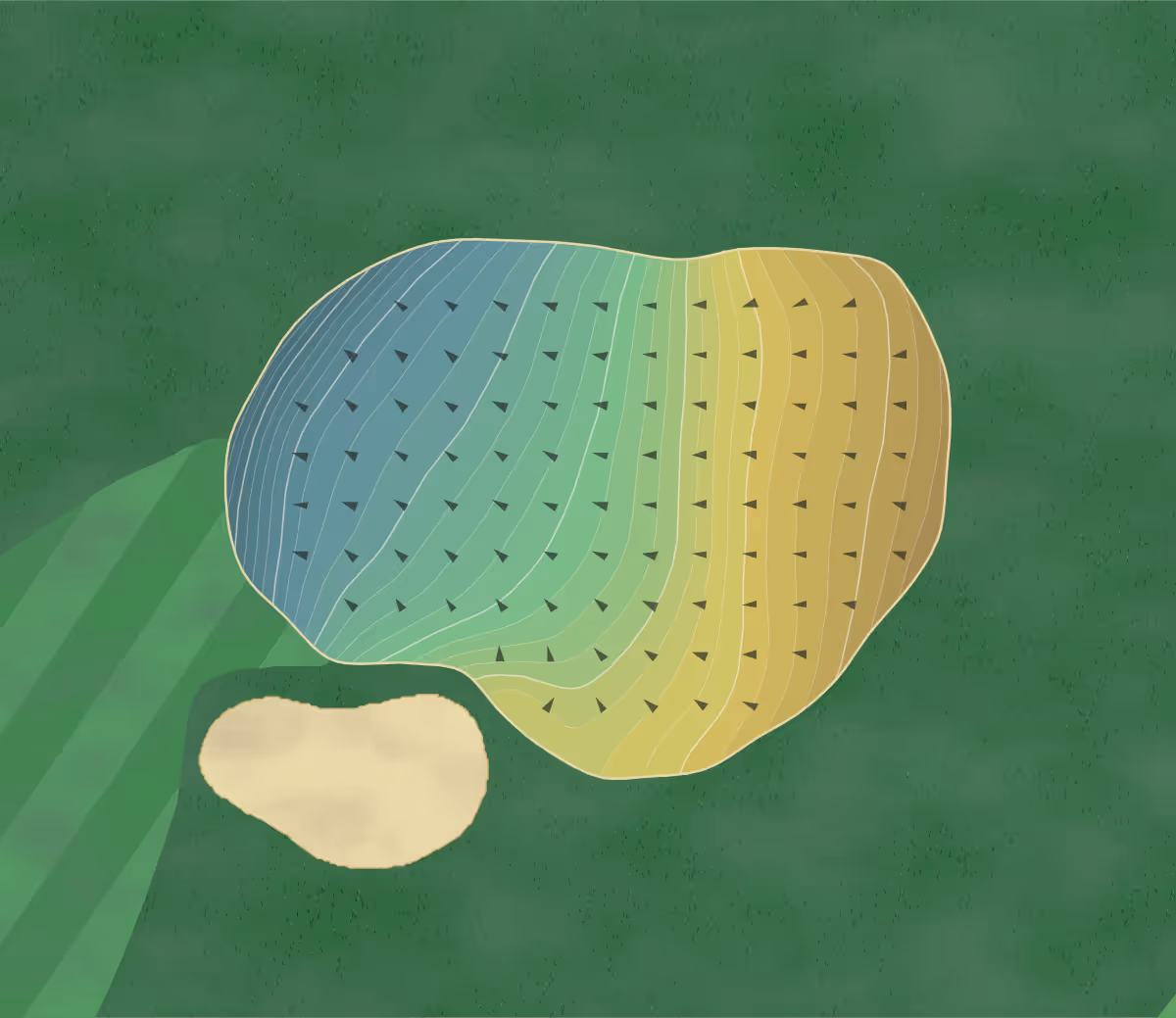 Green contour map of Boundary Oak in Walnut Creek, California — 350 elevation contours at a 3-inch interval with fall-line arrows, traced from 1-meter lidar