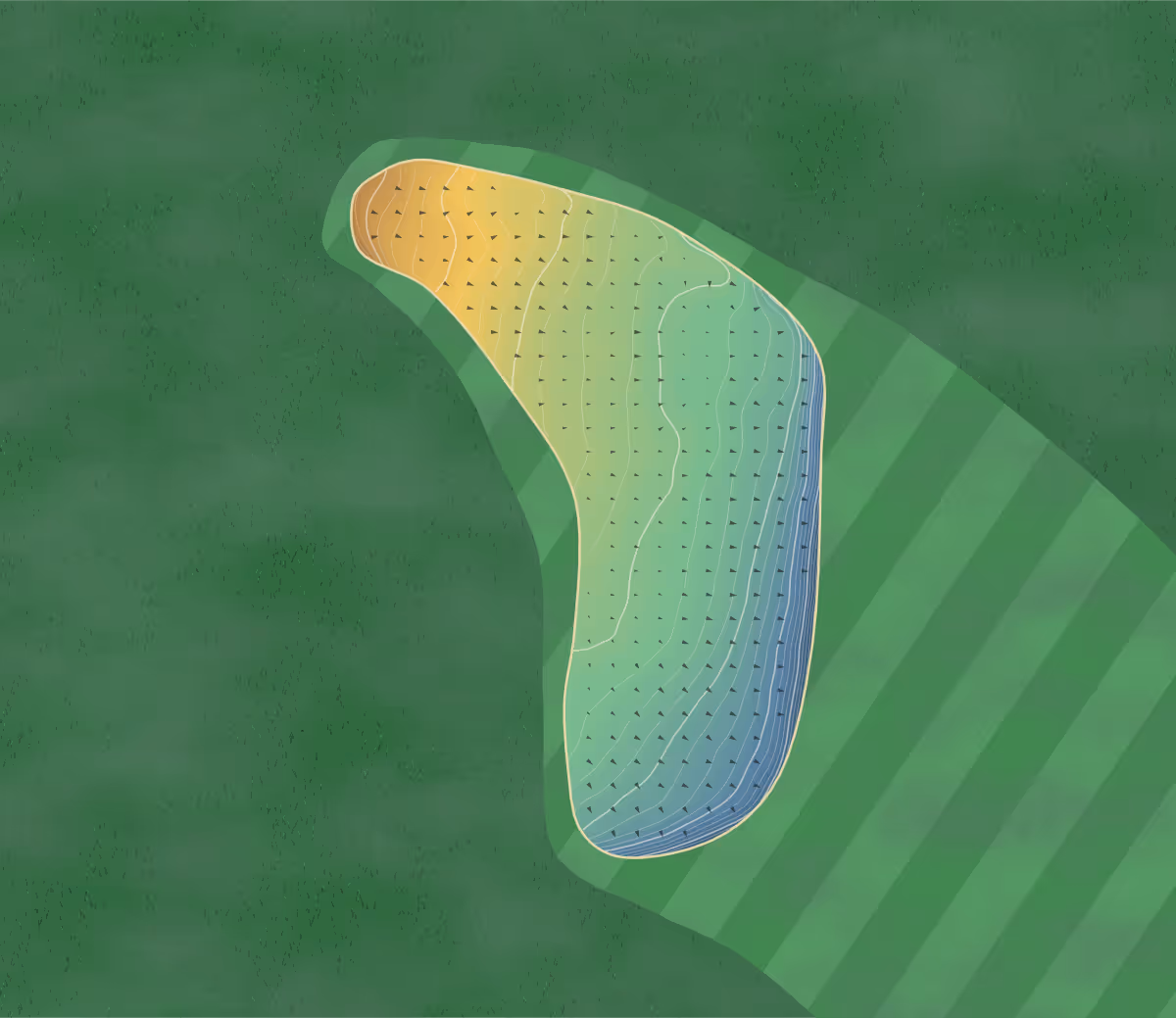 Green contour map of Braid Hills in Edinburgh, Scotland: 295 elevation contours at a 8-centimeter interval with fall-line arrows, traced from 1-meter lidar