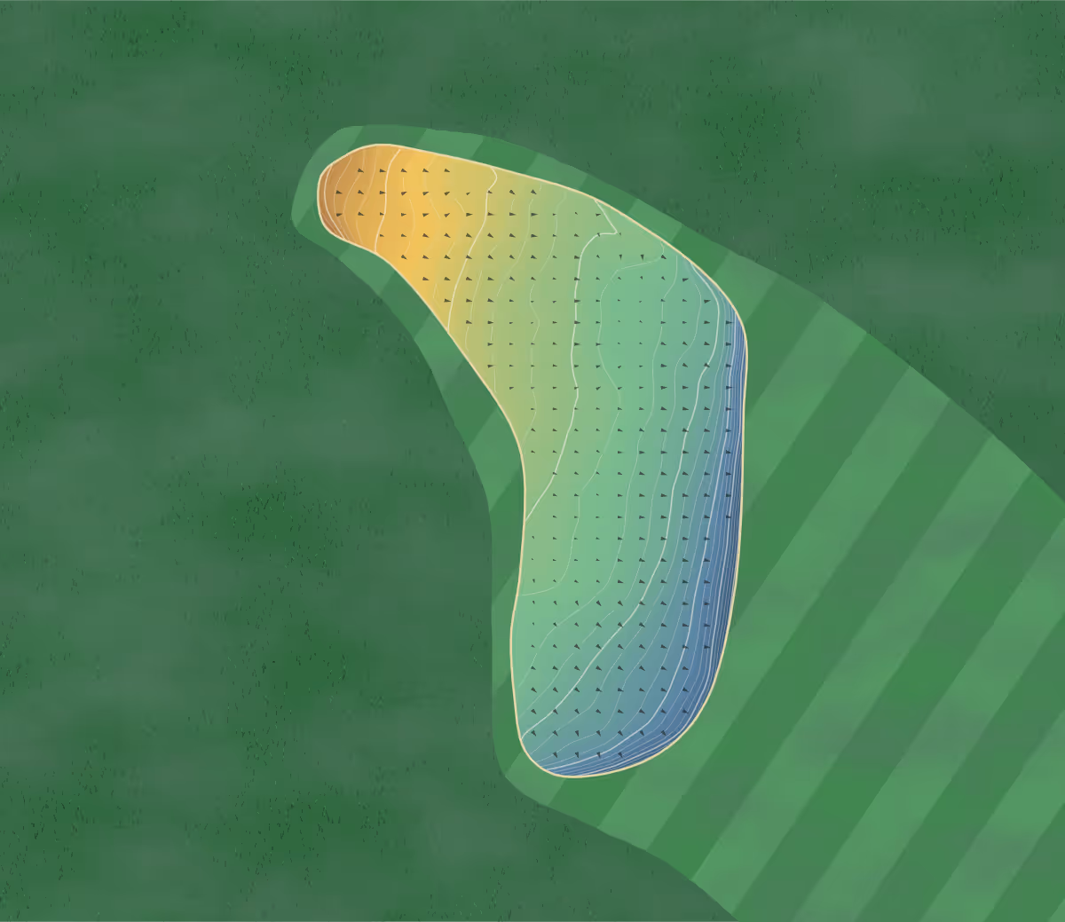 Green contour map of Braid Hills in Edinburgh, Scotland — 296 elevation contours at a 8-centimeter interval with fall-line arrows, traced from 1-meter lidar