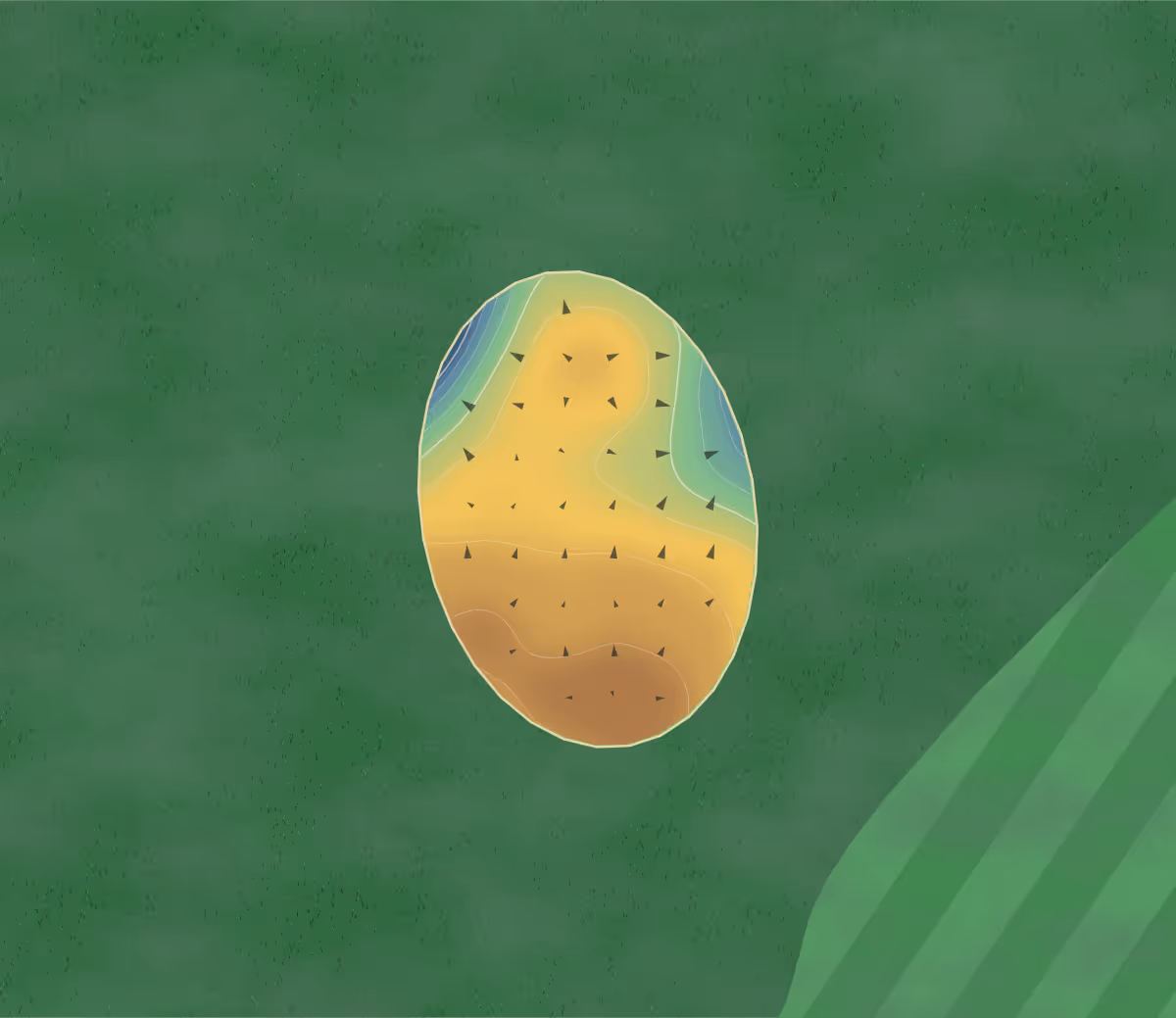 Green contour map of Brampton Golf and Leisure in Hereford, United Kingdom: 68 elevation contours at a 8-centimeter interval with fall-line arrows, traced from 1-meter lidar
