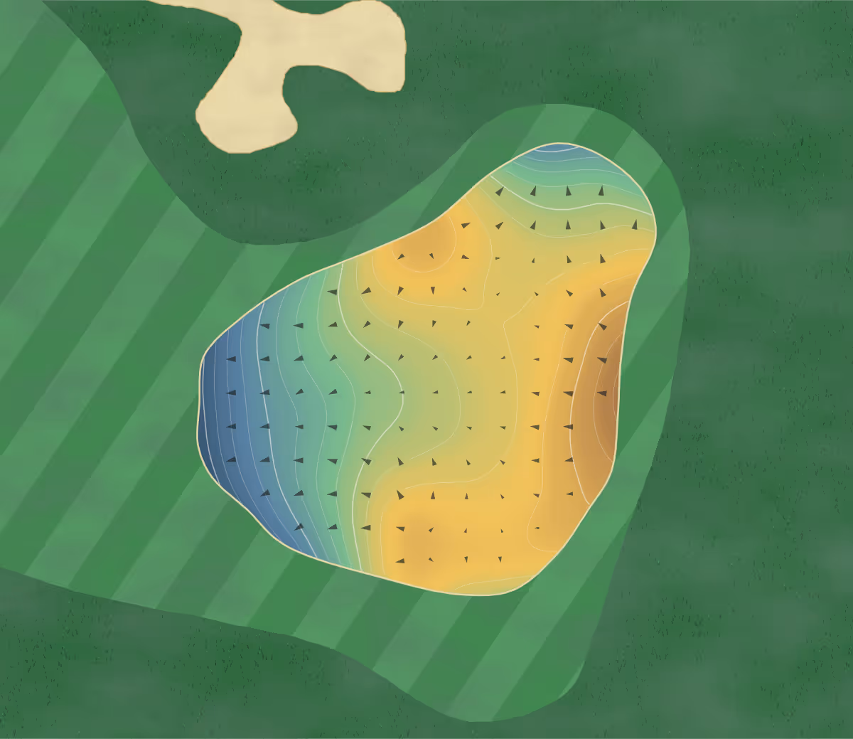 Green contour map of Brays Island in Sheldon, South Carolina: 213 elevation contours at a 3-inch interval with fall-line arrows, traced from 1-meter lidar