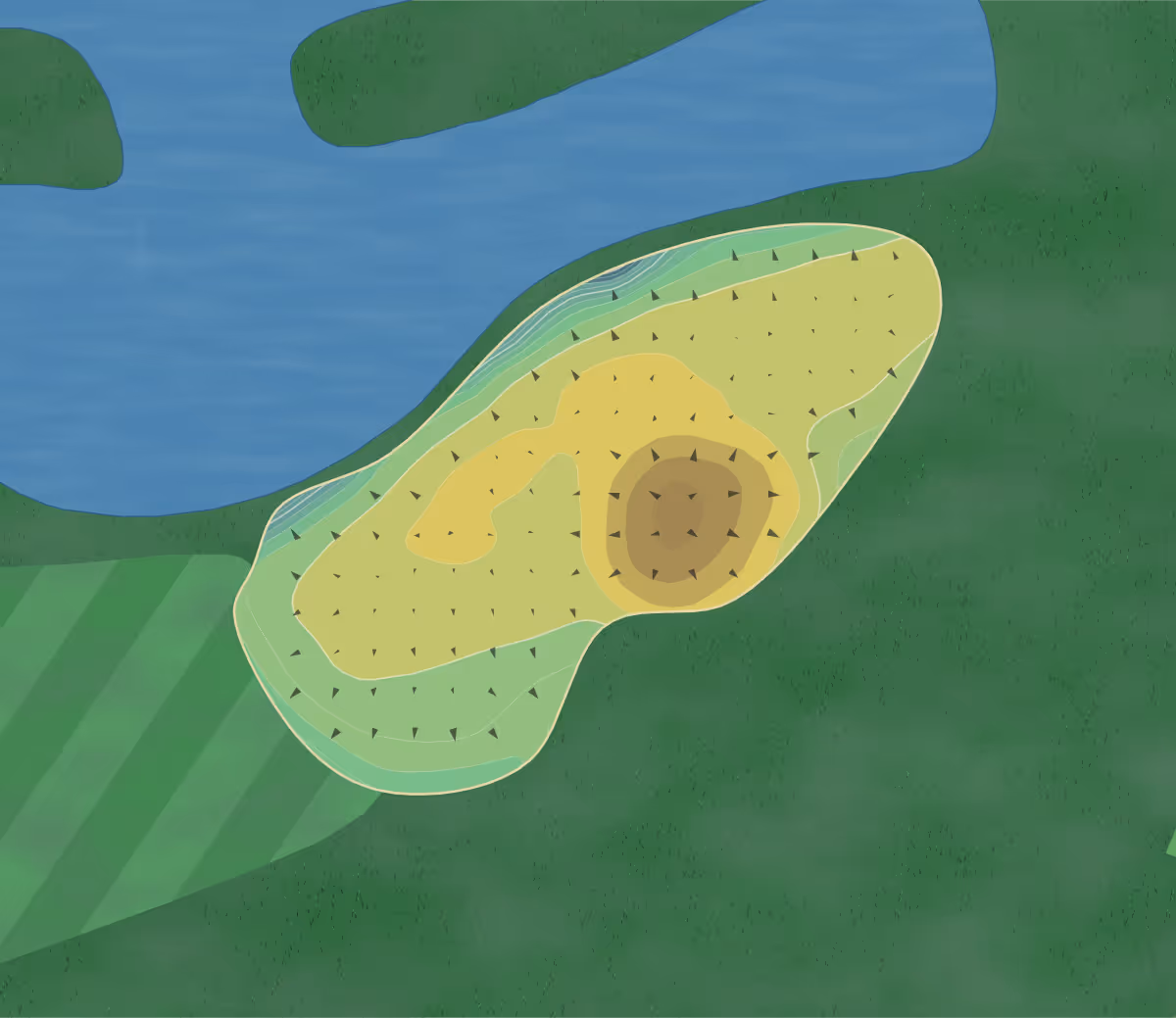 Green contour map of Brean CC in Burnham on Sea, England — 142 elevation contours at a 8-centimeter interval with fall-line arrows, traced from 1-meter lidar