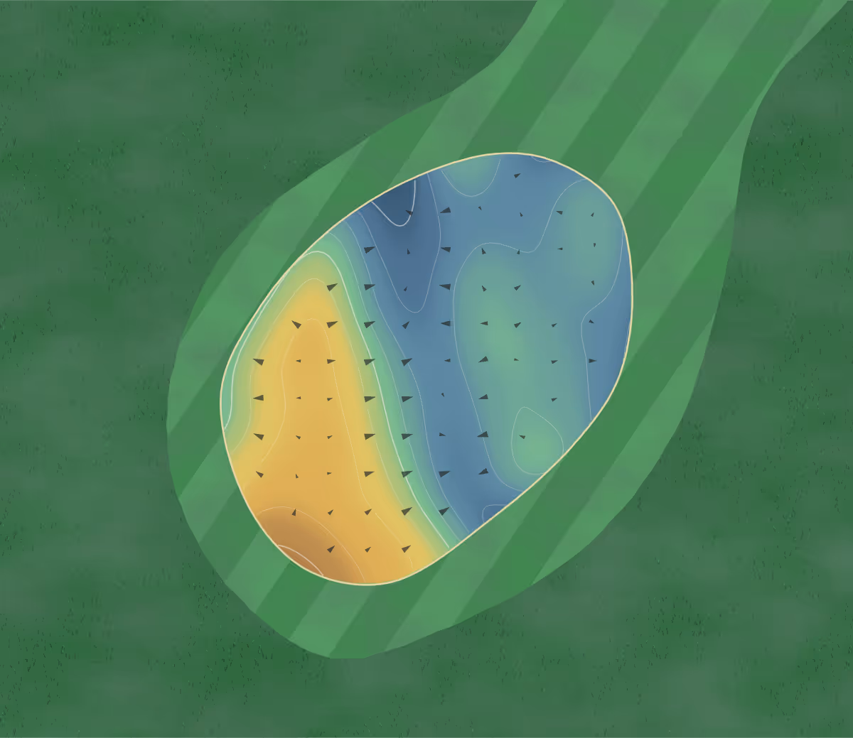 Green contour map of Brentwood in Jacksonville, Florida — 75 elevation contours at a 3-inch interval with fall-line arrows, traced from 1-meter lidar