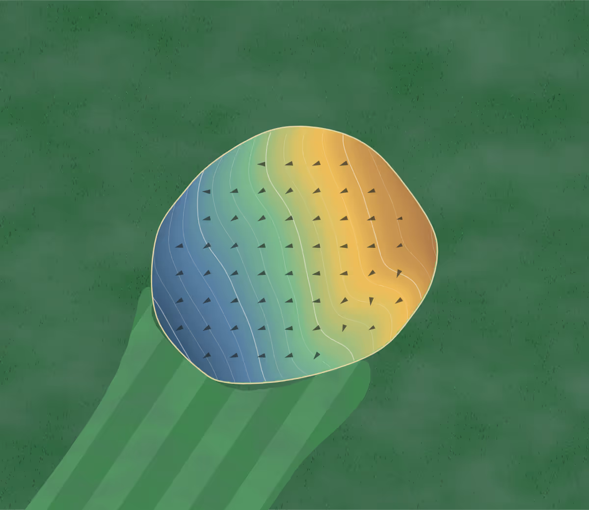 Green contour map of Briar Leaf in La Porte, Indiana: 165 elevation contours at a 3-inch interval with fall-line arrows, traced from 1-meter lidar