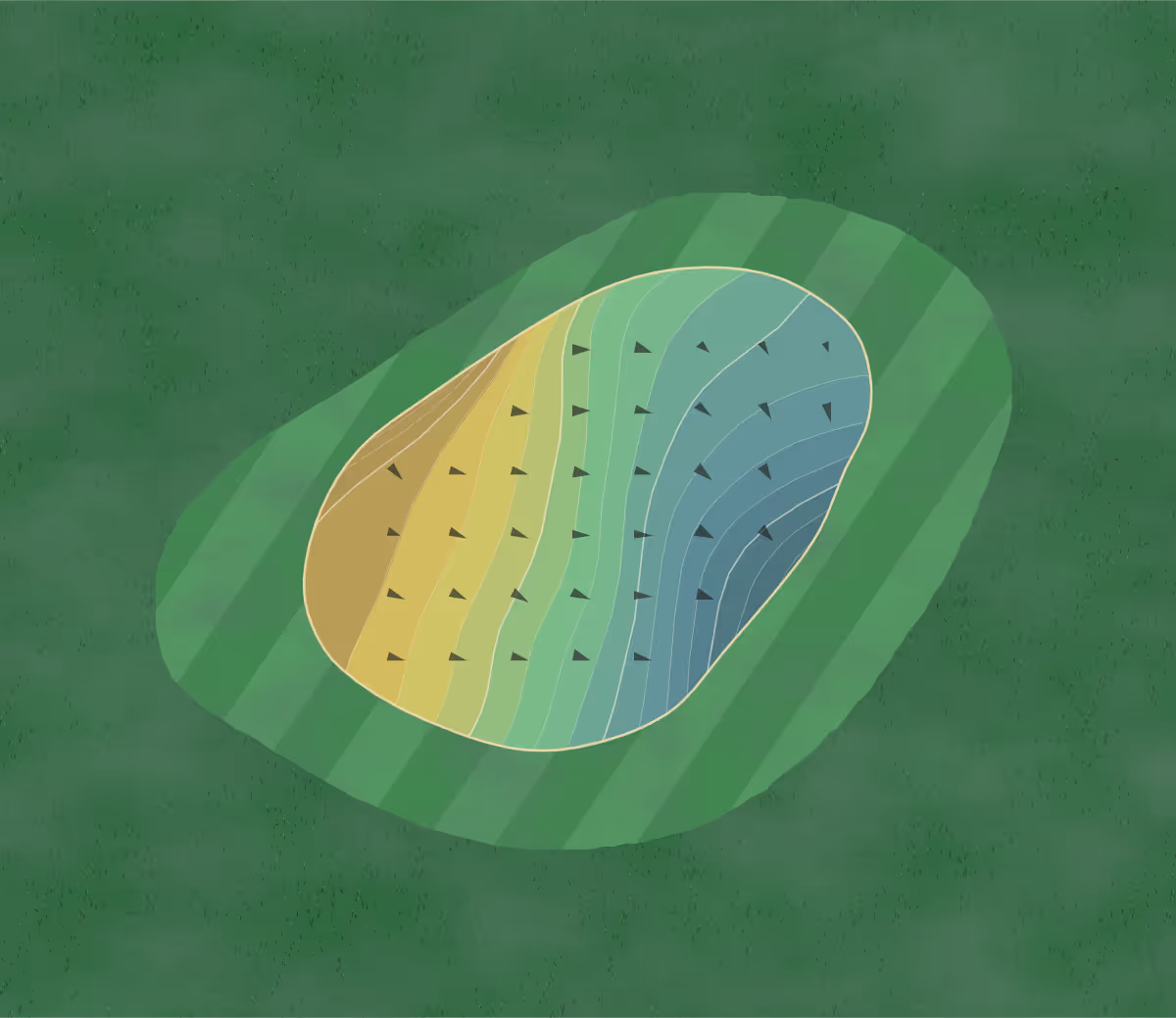 Green contour map of Bridge Haven in Fayetteville, West Virginia — 178 elevation contours at a 3-inch interval with fall-line arrows, traced from 1-meter lidar