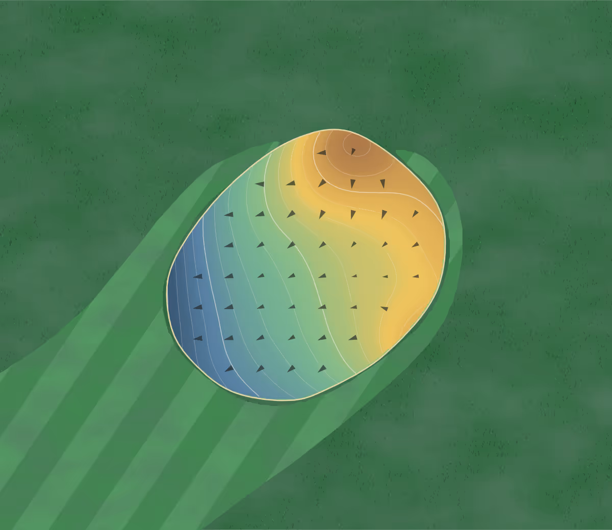 Green contour map of Bridgewater Links Golf Course in Lake Havasu City, Arizona — 65 elevation contours at a 3-inch interval with fall-line arrows, traced from 1-meter lidar