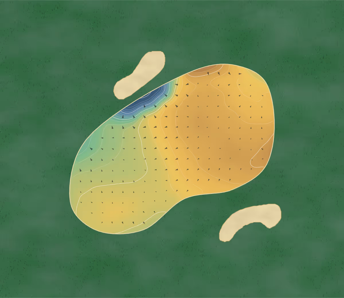 Green contour map of Bridlington in Bridlington, England: 170 elevation contours at a 8-centimeter interval with fall-line arrows, traced from 1-meter lidar