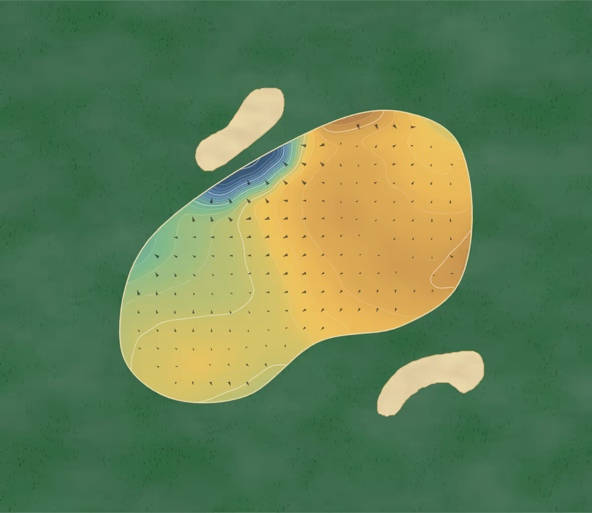 Green contour map of Bridlington Links in Bridlington, England — 170 elevation contours at a 8-centimeter interval with fall-line arrows, traced from 1-meter lidar