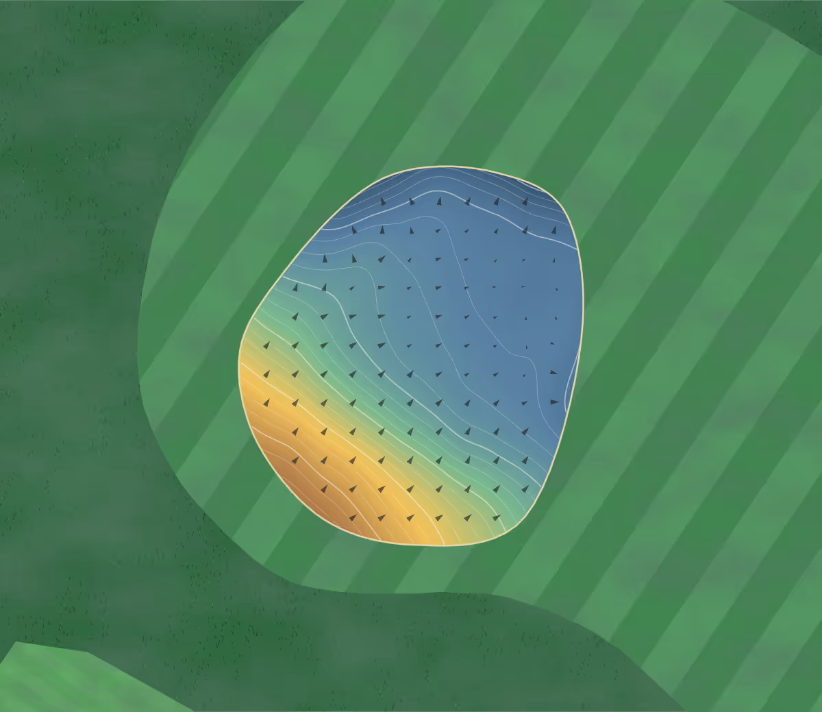 Green contour map of Brierley Forest in Sutton-in-Ashfield, England: 206 elevation contours at a 8-centimeter interval with fall-line arrows, traced from 1-meter lidar