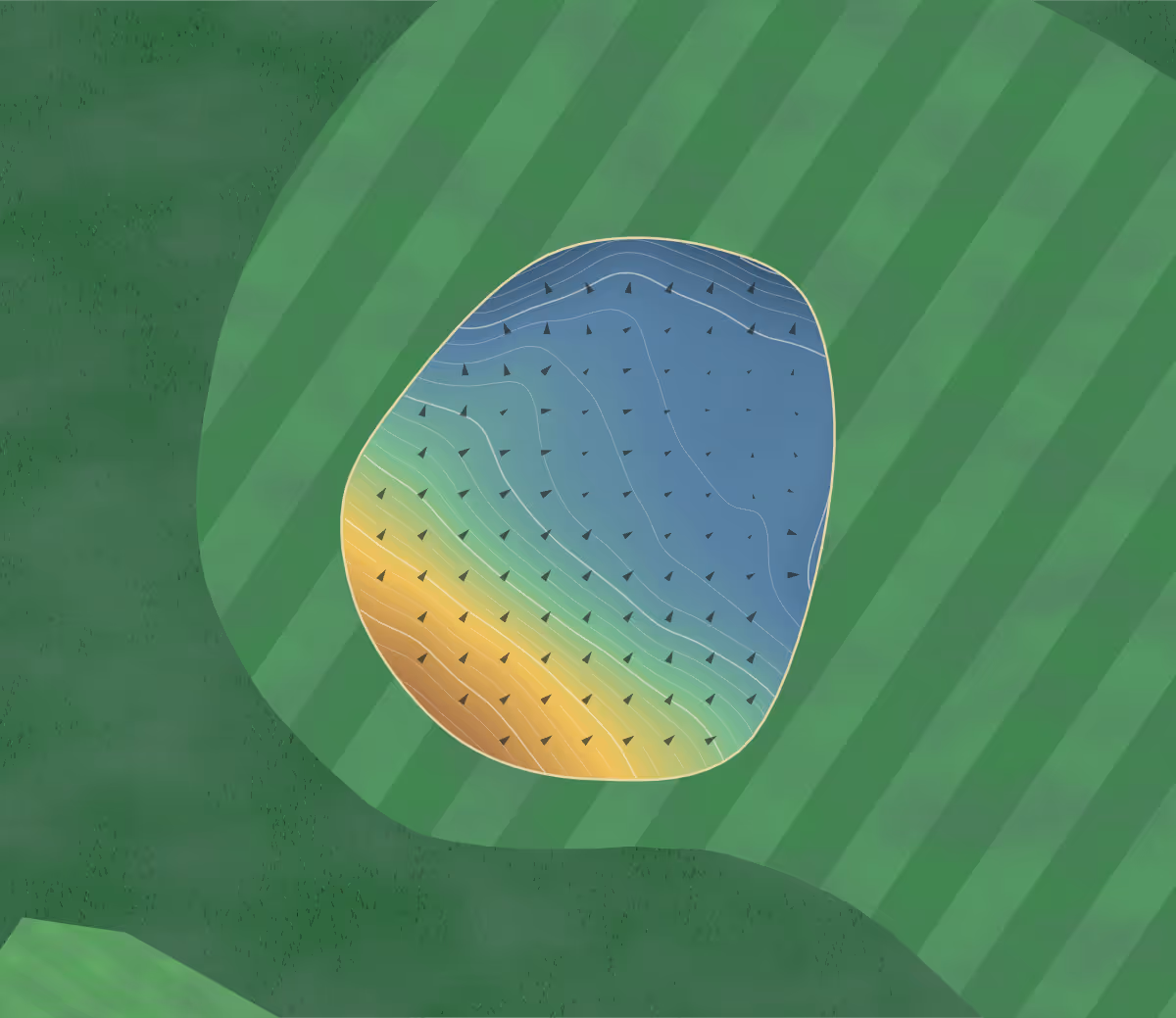 Green contour map of Brierley Forest in Sutton-in-Ashfield, England — 206 elevation contours at a 8-centimeter interval with fall-line arrows, traced from 1-meter lidar