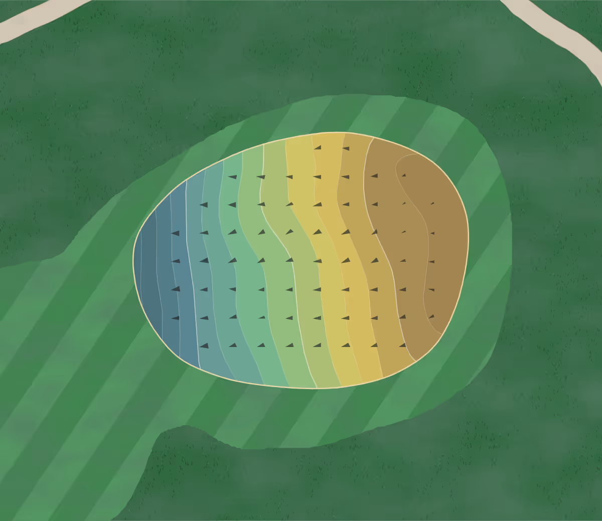 Green contour map of Briggs Woods in Webster City, Iowa — 167 elevation contours at a 3-inch interval with fall-line arrows, traced from 1-meter lidar
