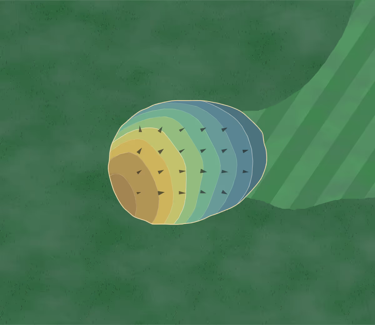 Green contour map of Brookland Golf in Brooklyn Park, Minnesota — 62 elevation contours at a 3-inch interval with fall-line arrows, traced from 1-meter lidar