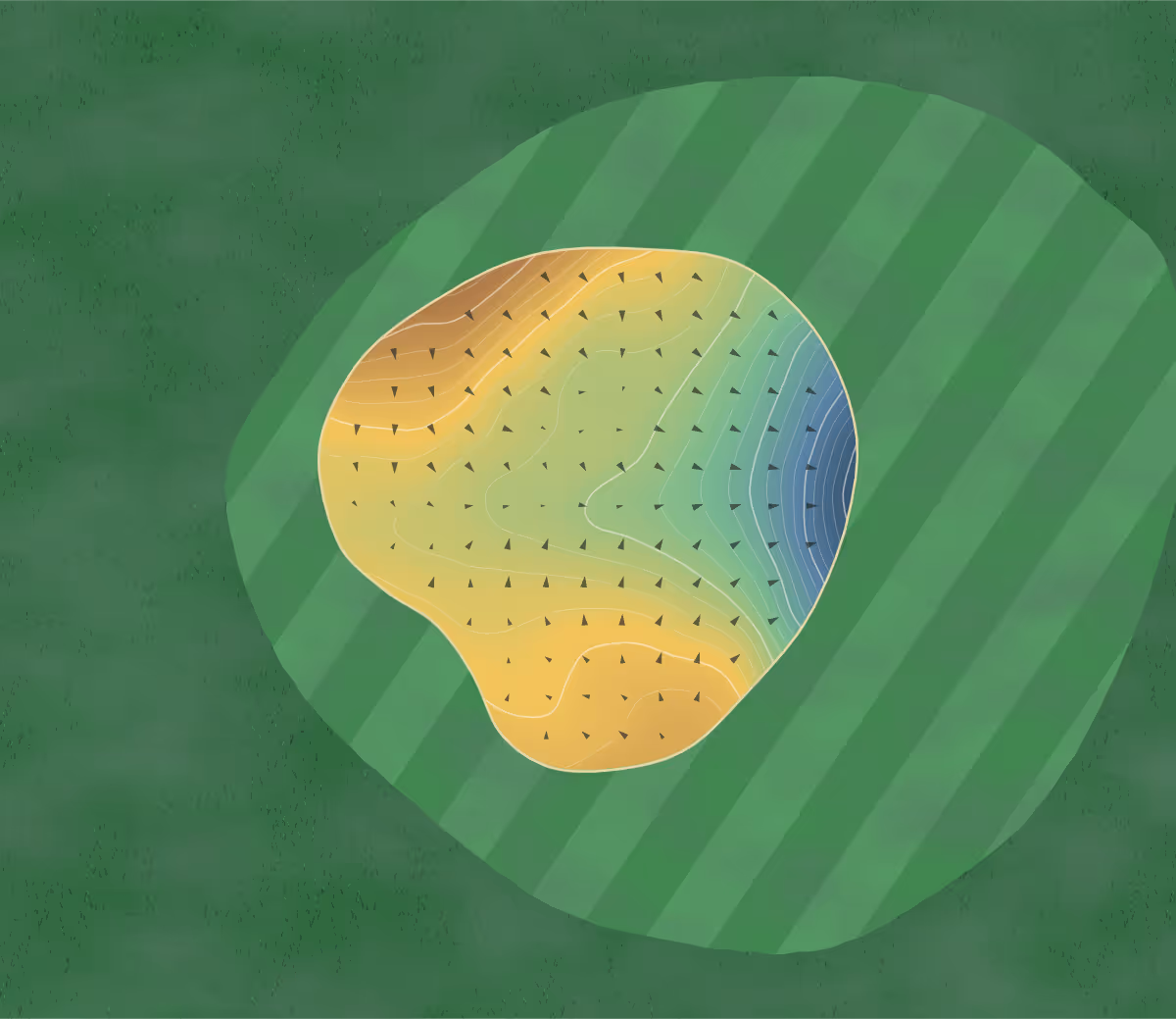 Green contour map of Brora in Brora, Scotland: 188 elevation contours at a 8-centimeter interval with fall-line arrows, traced from 1-meter lidar