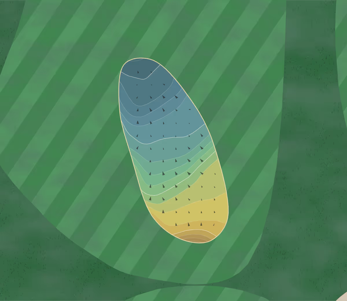 Green contour map of Buchanan Fields in Concord, California — 92 elevation contours at a 3-inch interval with fall-line arrows, traced from 1-meter lidar