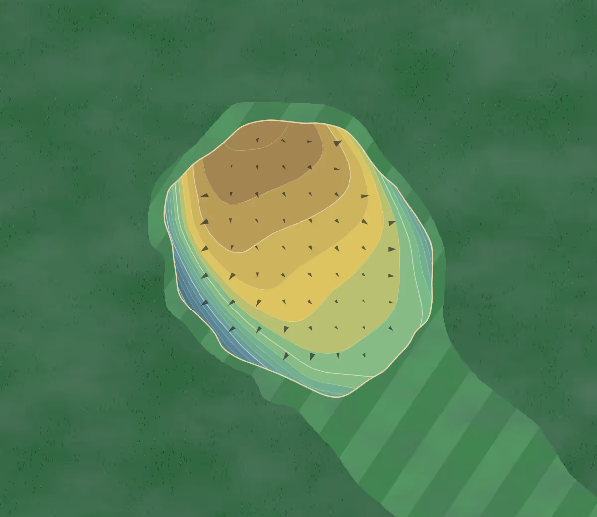Green contour map of Buckhannon CC in Buckhannon, West Virginia — 82 elevation contours at a 3-inch interval with fall-line arrows, traced from 1-meter lidar