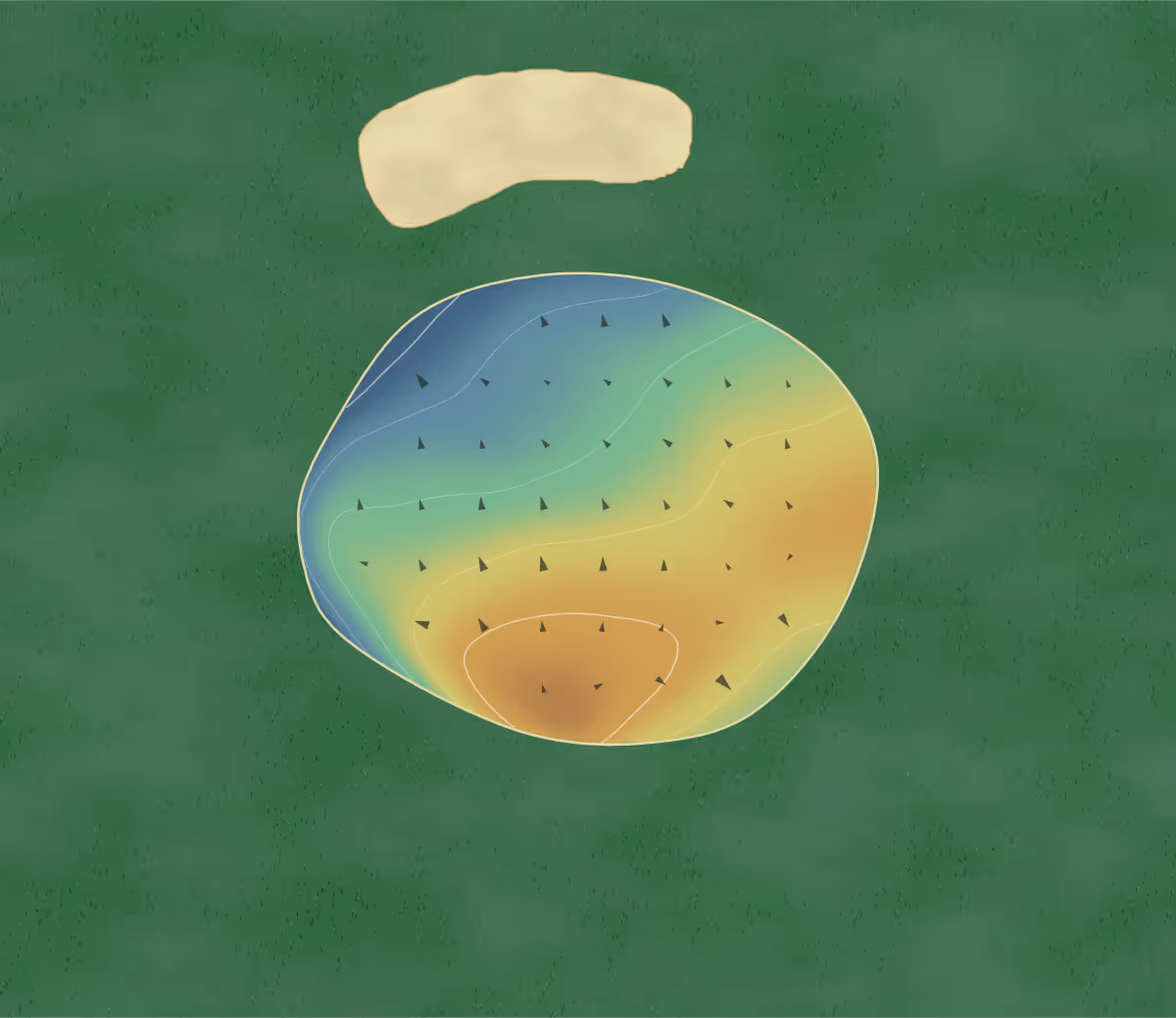 Green contour map of Buckley in Shannon, New Zealand — 5 elevation contours at a 8-centimeter interval with fall-line arrows, traced from 1-meter lidar