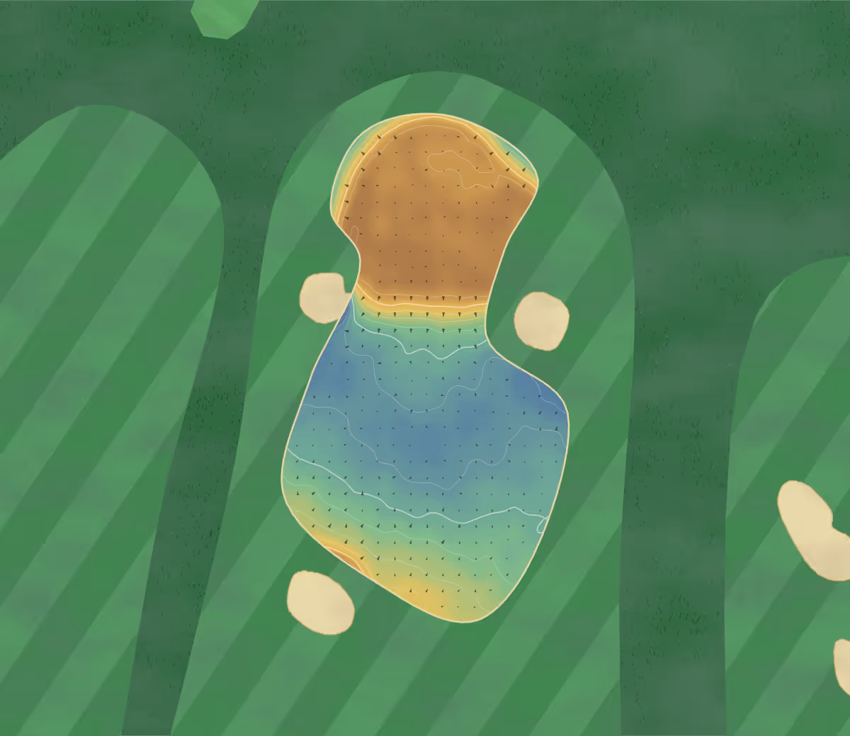 Green contour map of Buckpool in Buckie, Scotland: 146 elevation contours at a 8-centimeter interval with fall-line arrows, traced from 1-meter lidar