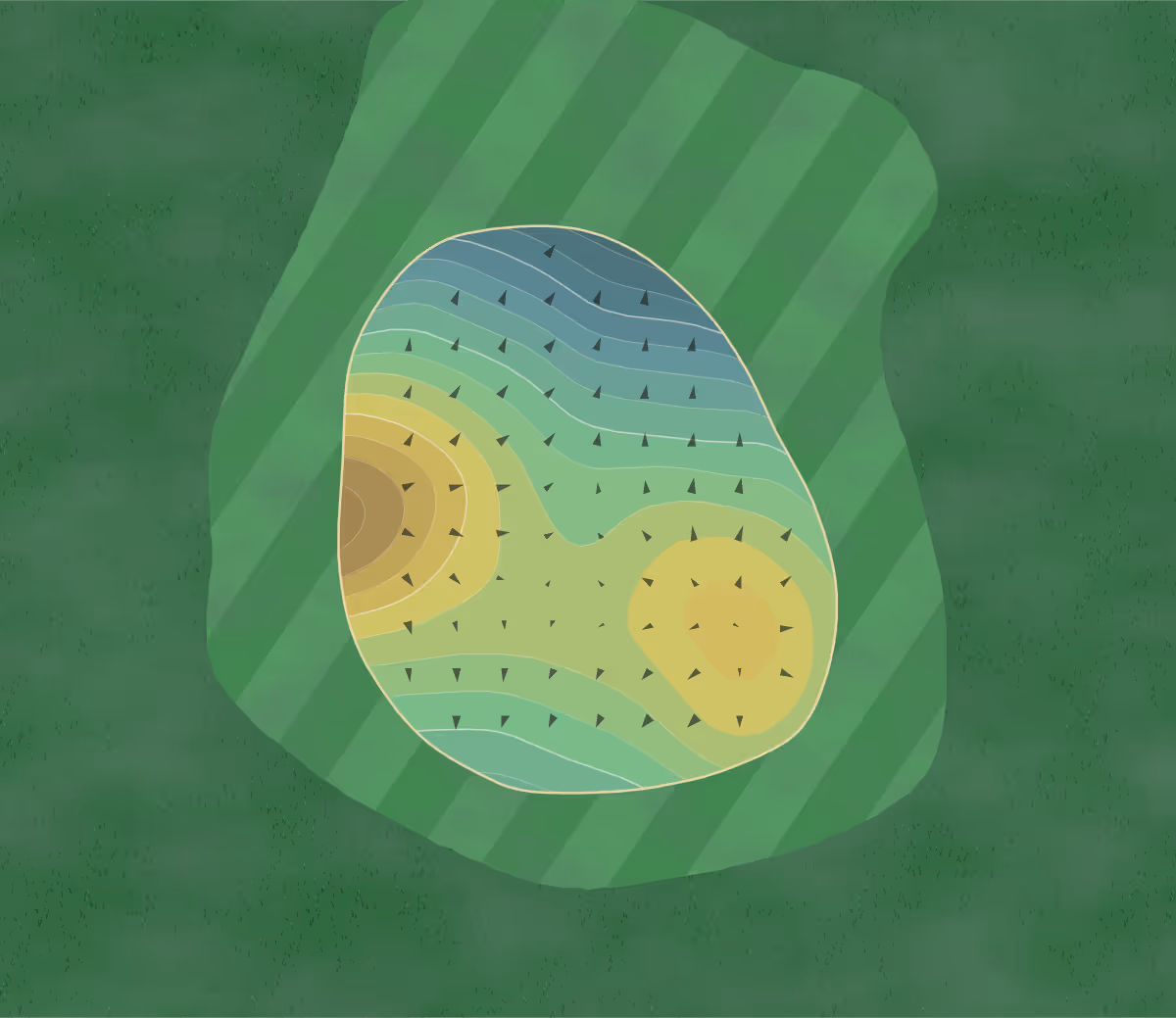 Green contour map of Buena Vista in Storm Lake, Iowa — 165 elevation contours at a 3-inch interval with fall-line arrows, traced from 1-meter lidar