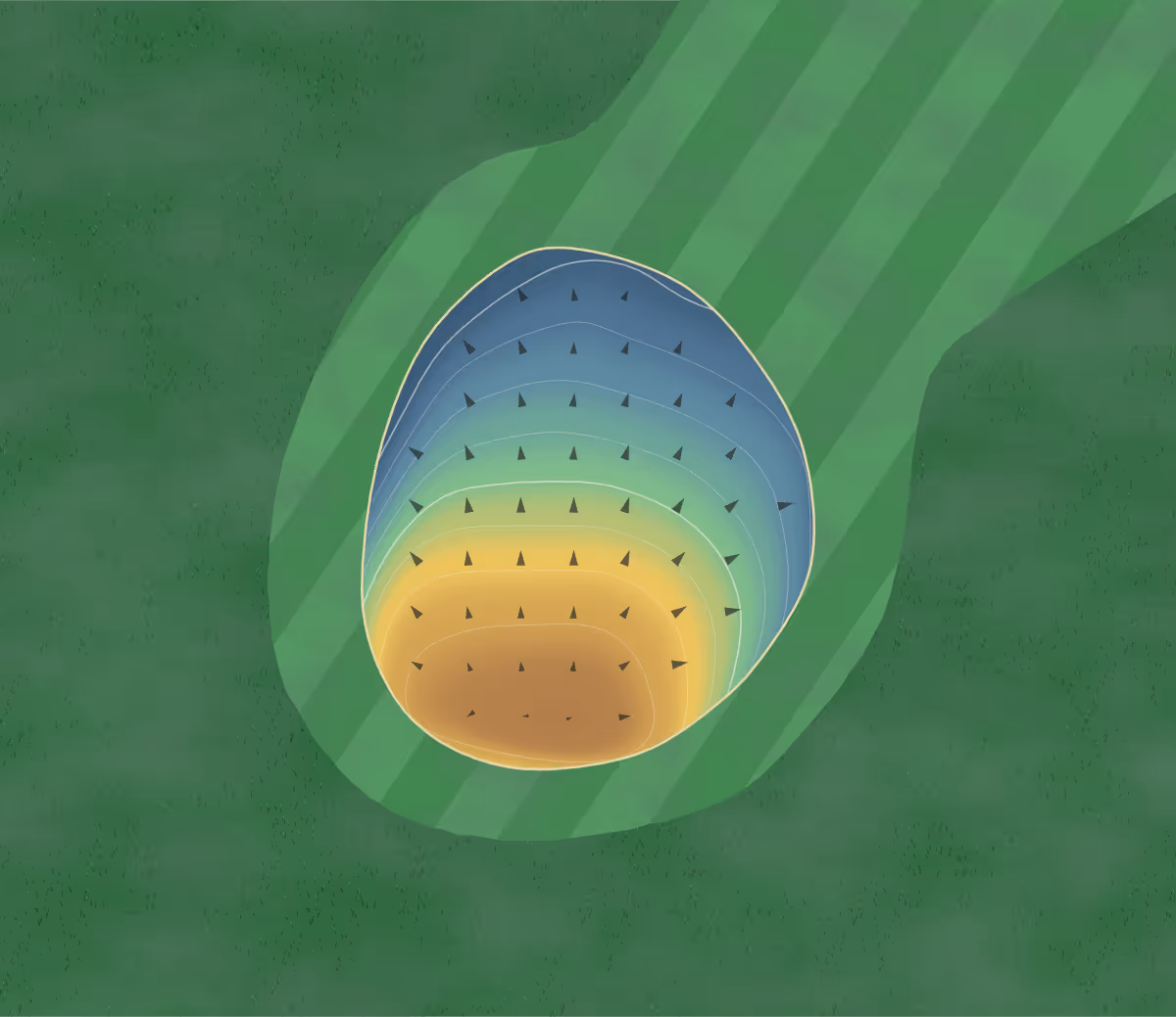 Green contour map of Buffalo Creek in Winthrop, Iowa: 51 elevation contours at a 3-inch interval with fall-line arrows, traced from 1-meter lidar
